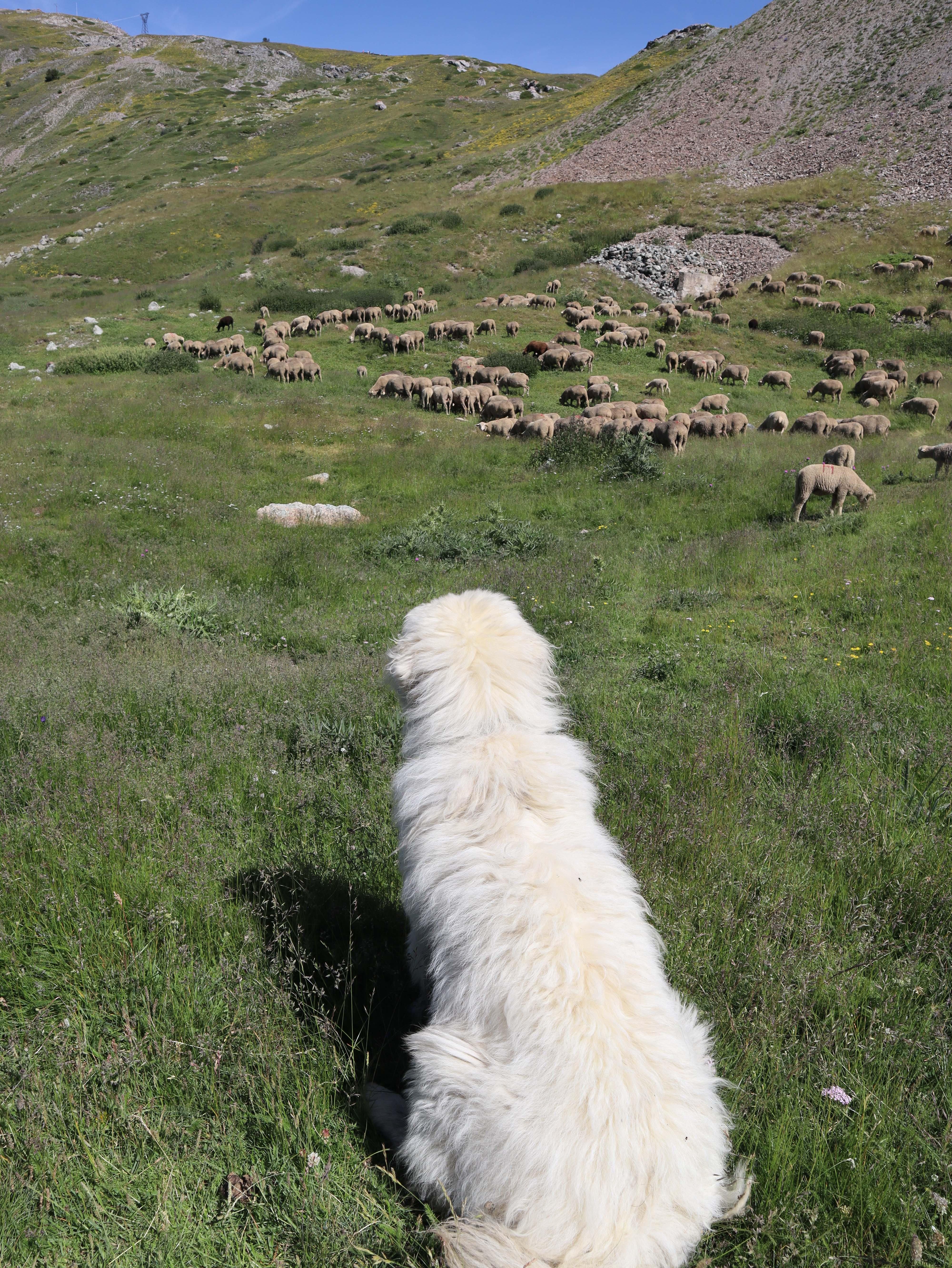 Au dtour d'un refuge - Refuge du Golon
