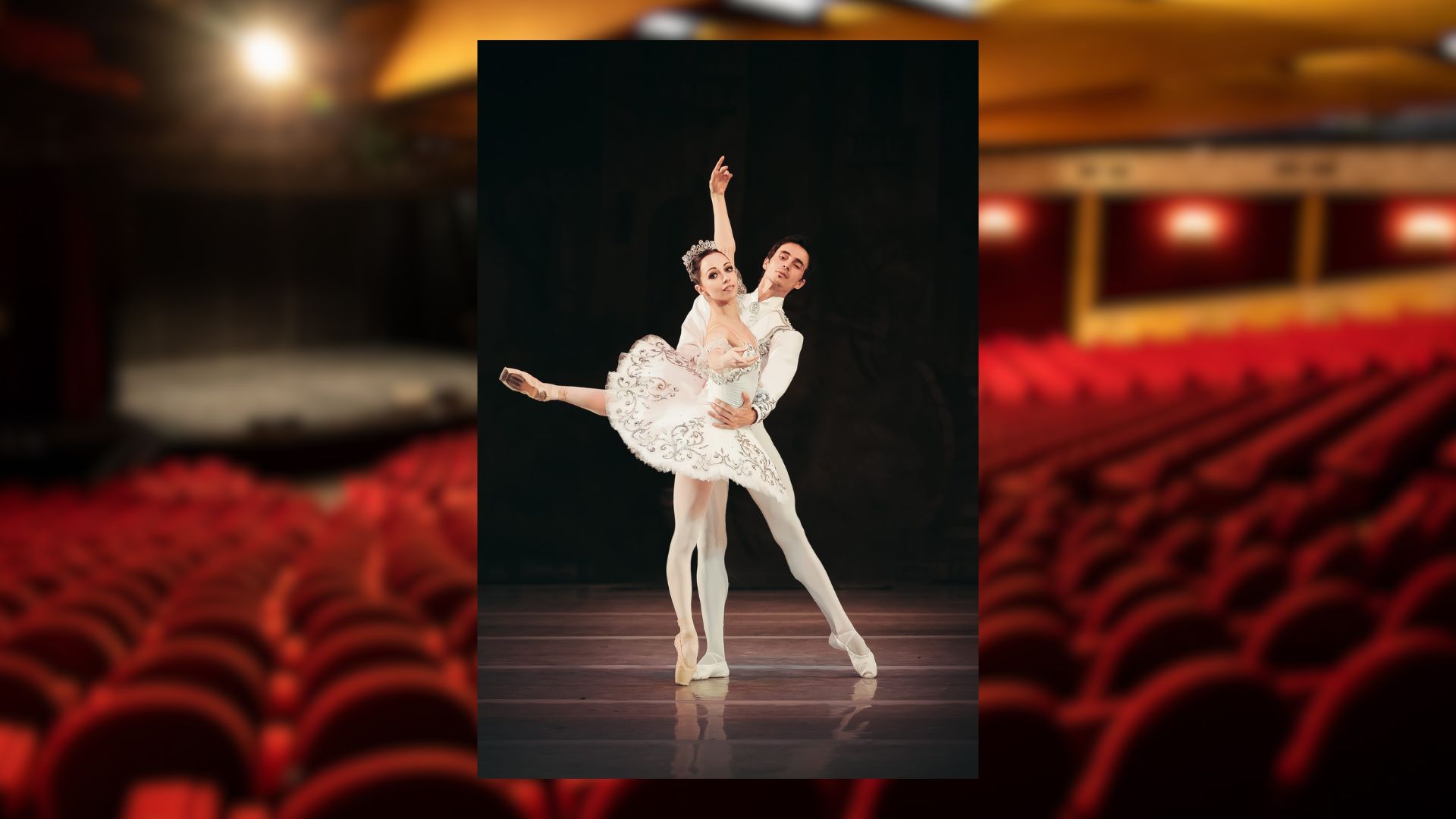 Danse : Grand ballet de Kiev - Les toiles de la danse