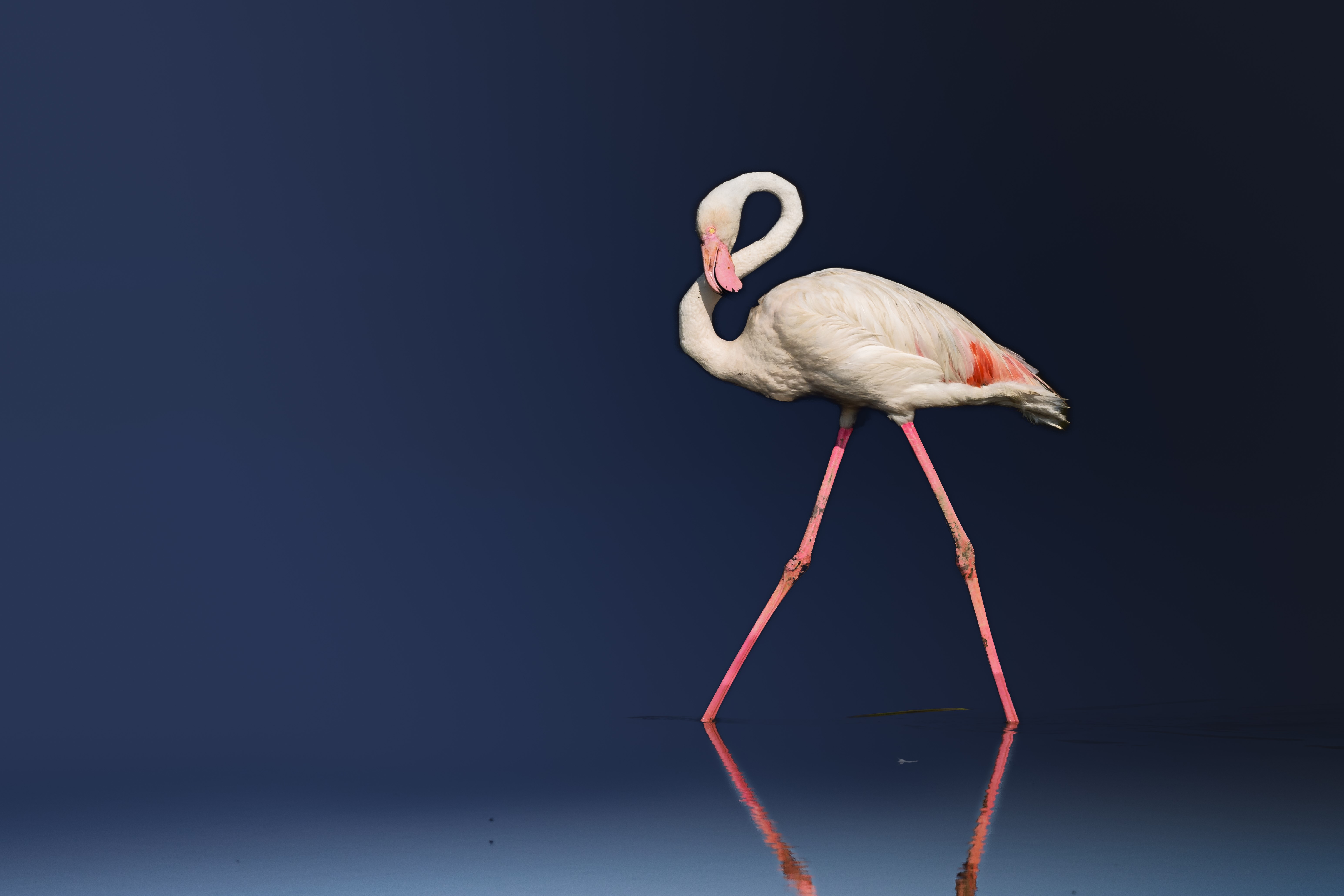 Exposition  Impressions  : Michel et Anne-Marie Bacquet