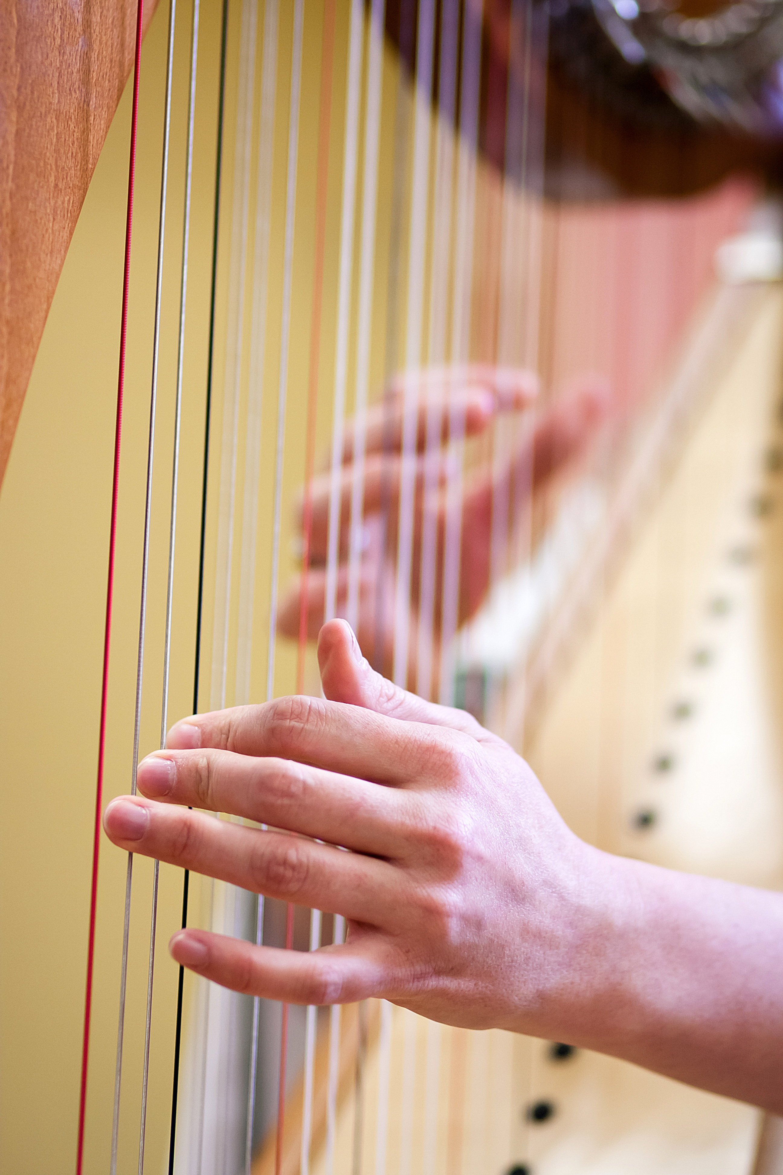 Concert - Classes de harpe du Conservatoire TPM - 11e Festival d'Automne du Conservatoire