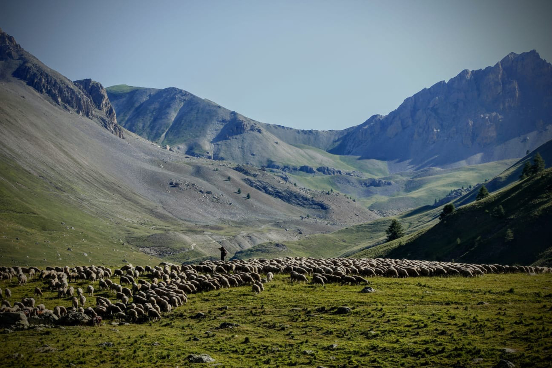 Rencontre culturelle : Territoire partag, mdiation pastorale et biodiversit