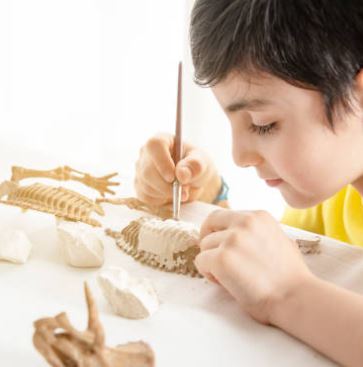 Savante Nature : Animation sur la Palontologie (fossiles et dinosaures)  Villelaure