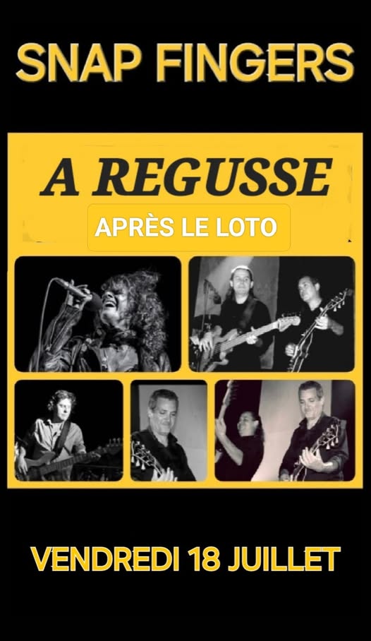 Concert rock n'roll - Steppers-Band