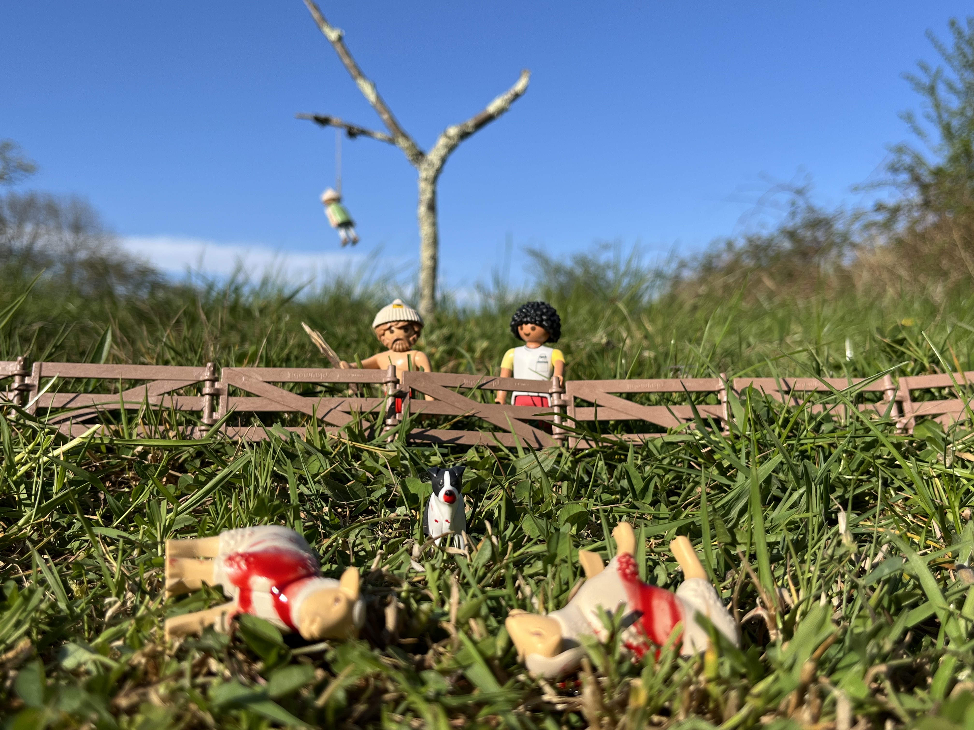 Thtre - Pierre Guillois 