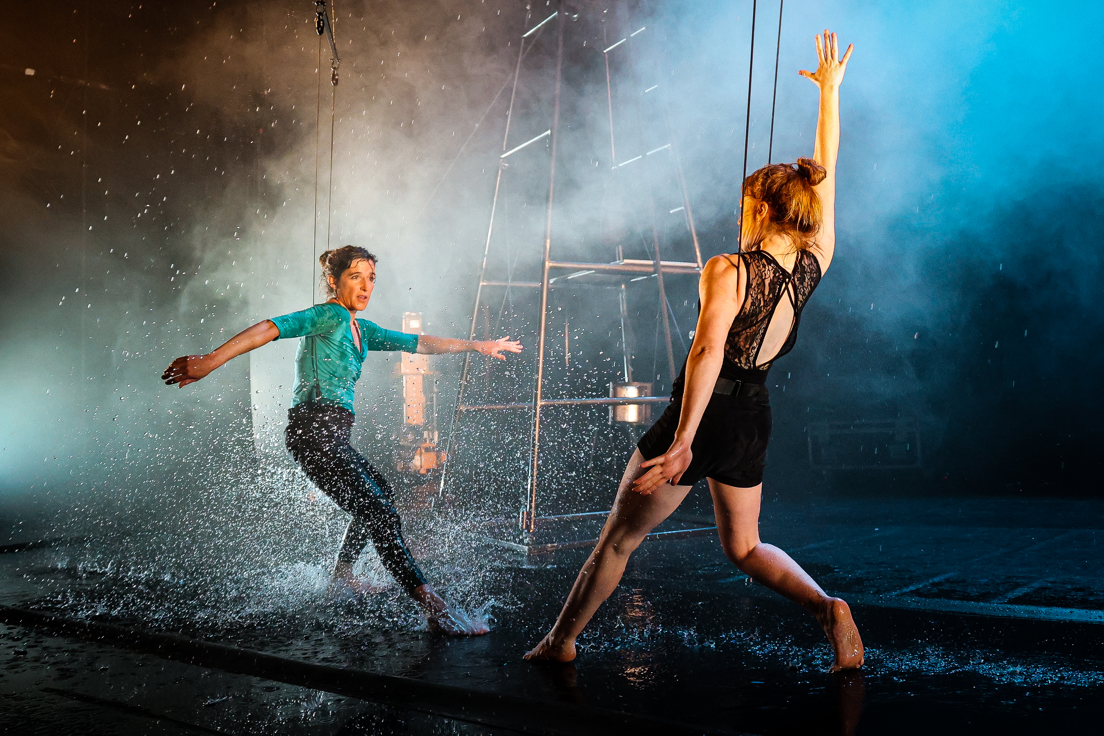 Cirque - Rvolte ou tentatives de l'chec