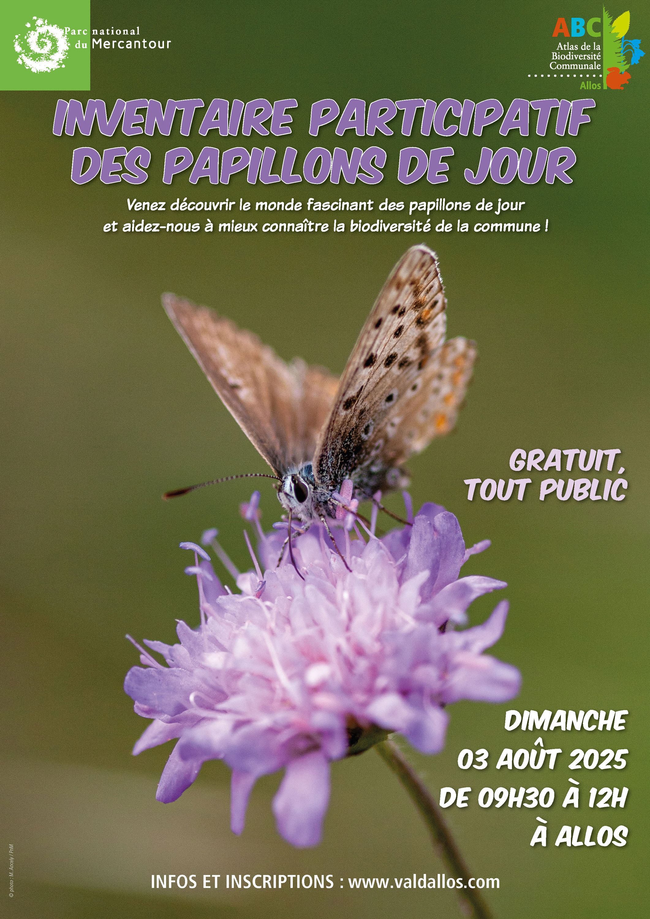 Inventaire participatif des papillons de jour