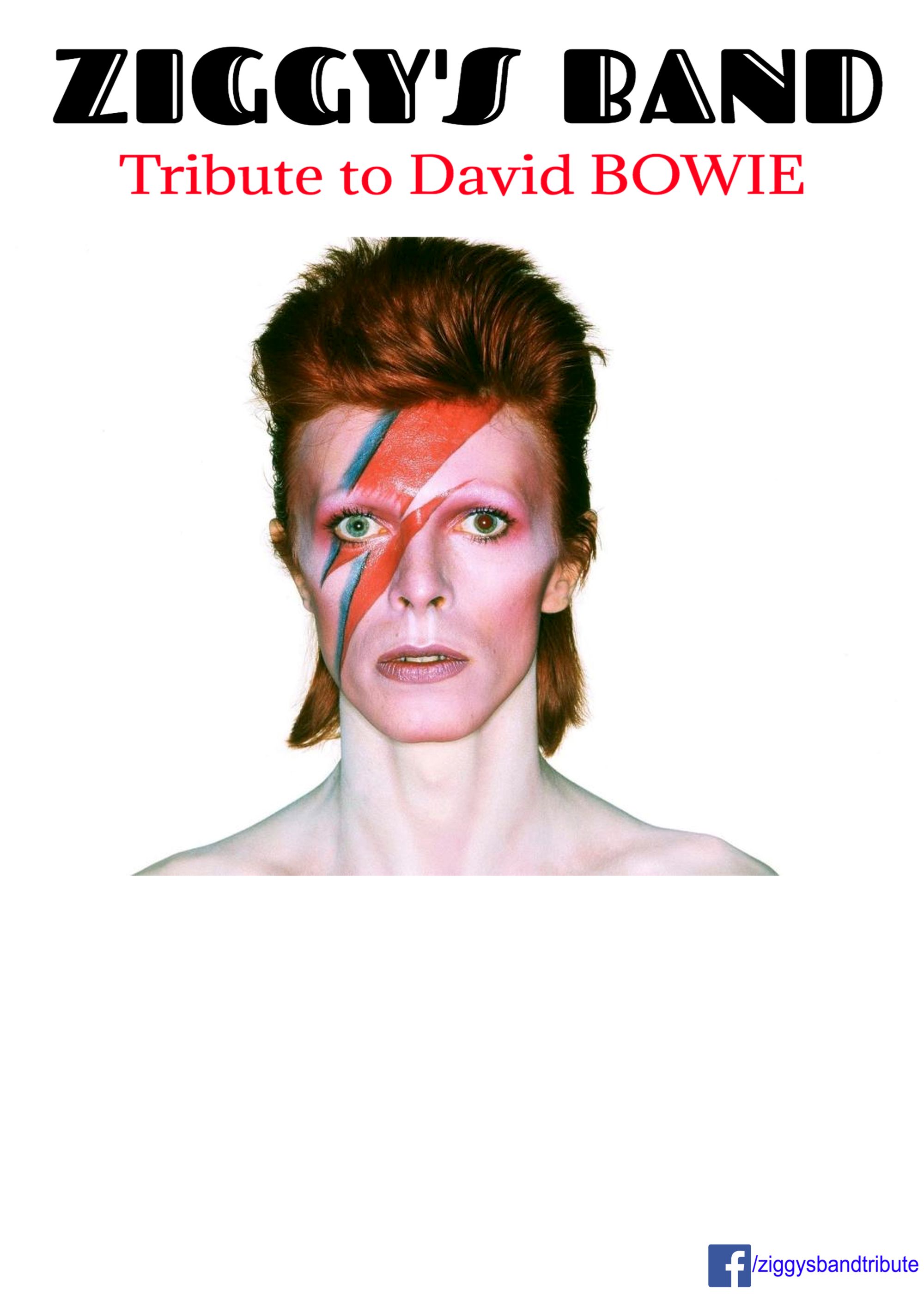 TRIBUTE David BOWIE