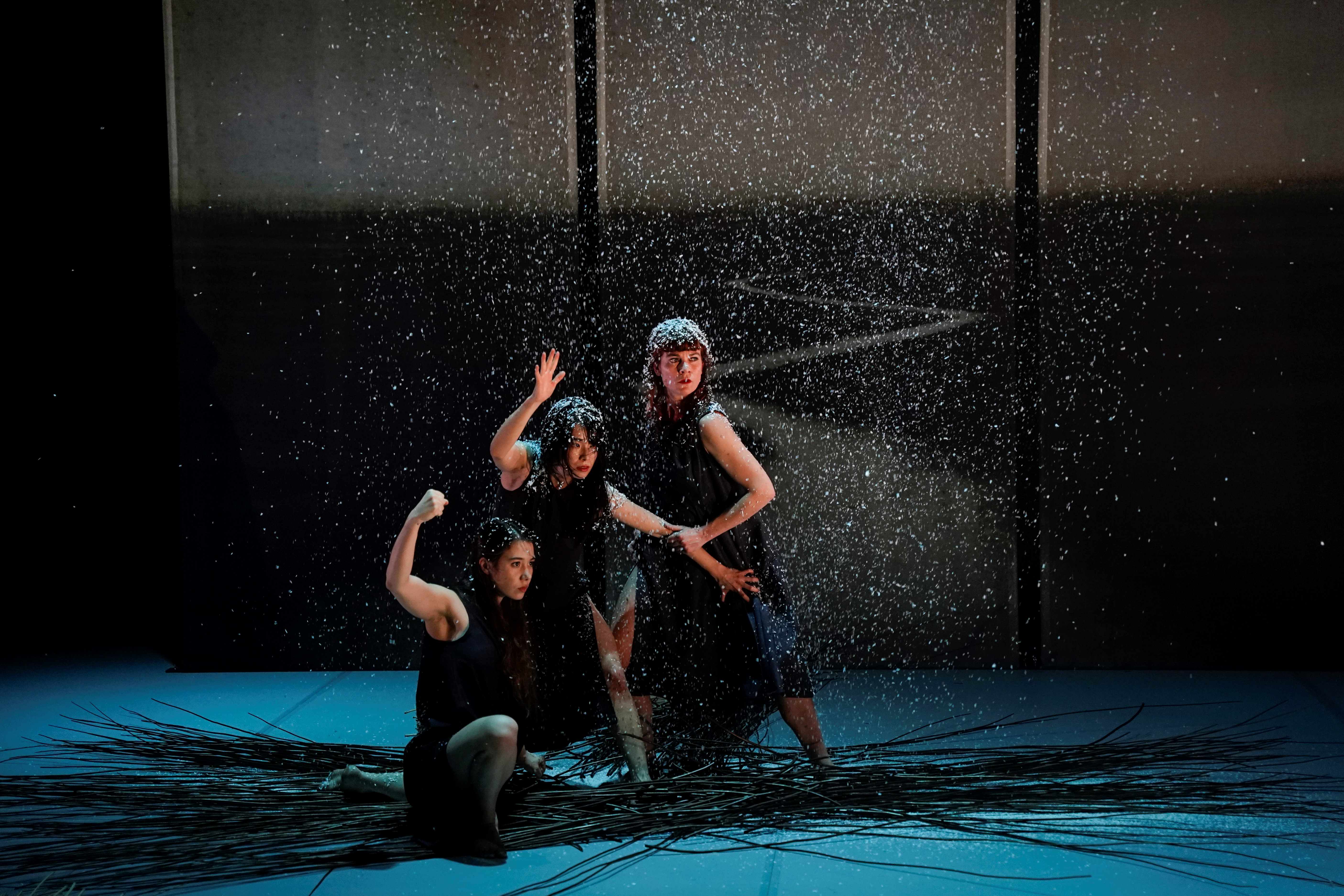 Jeune public - Danse/conte 