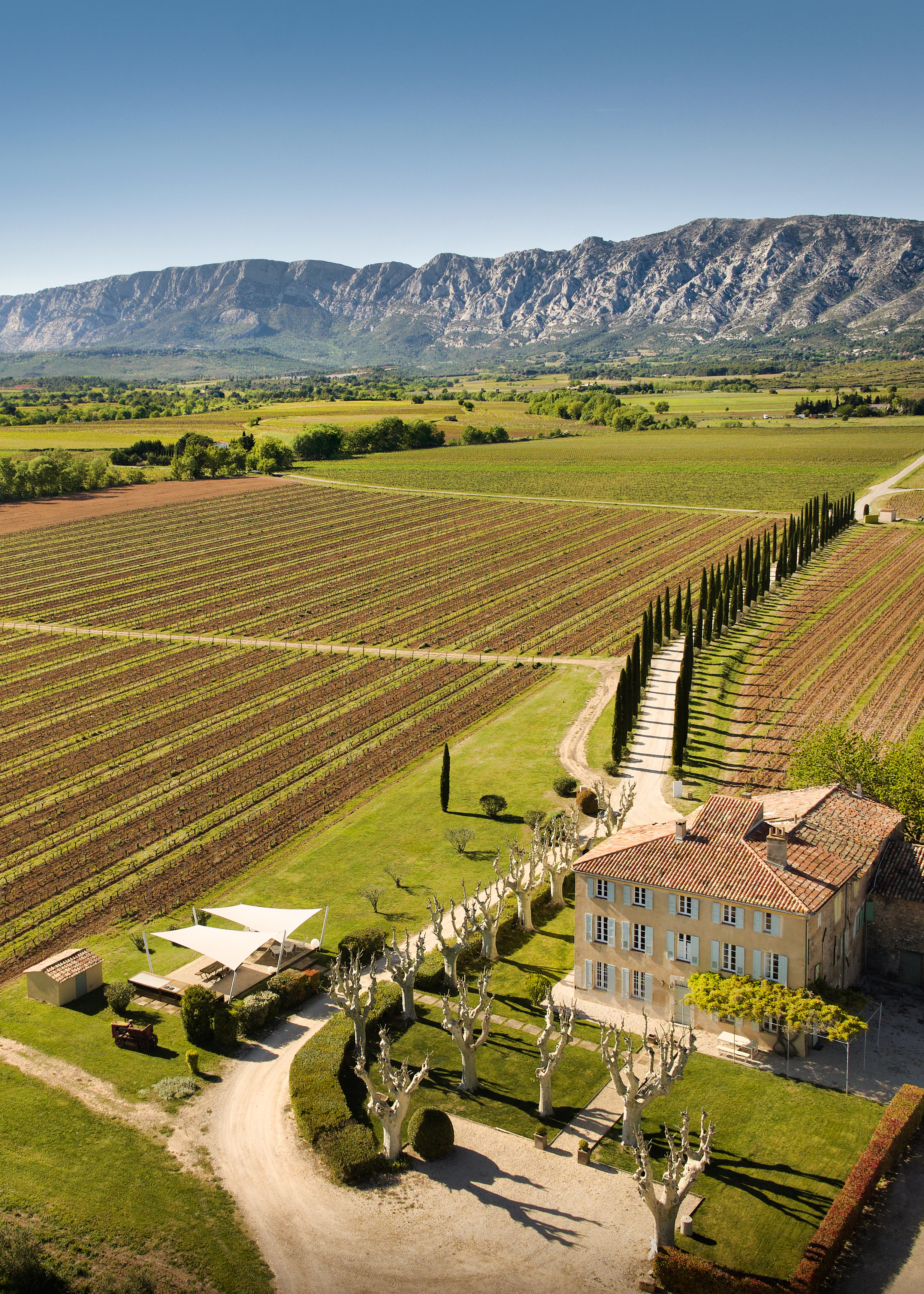 LES MUSICALES DANS LES VIGNES