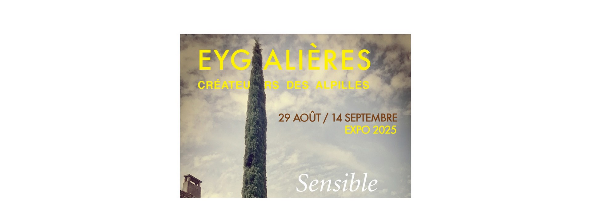 Exposition Crateurs des Alpilles : Sensible