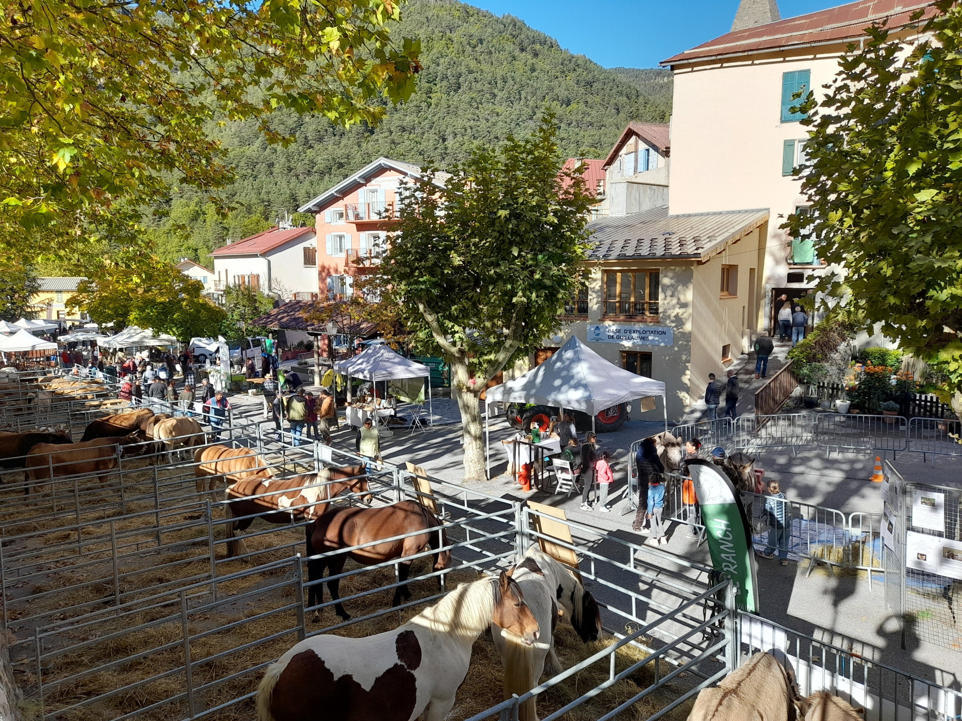 Foire agricole