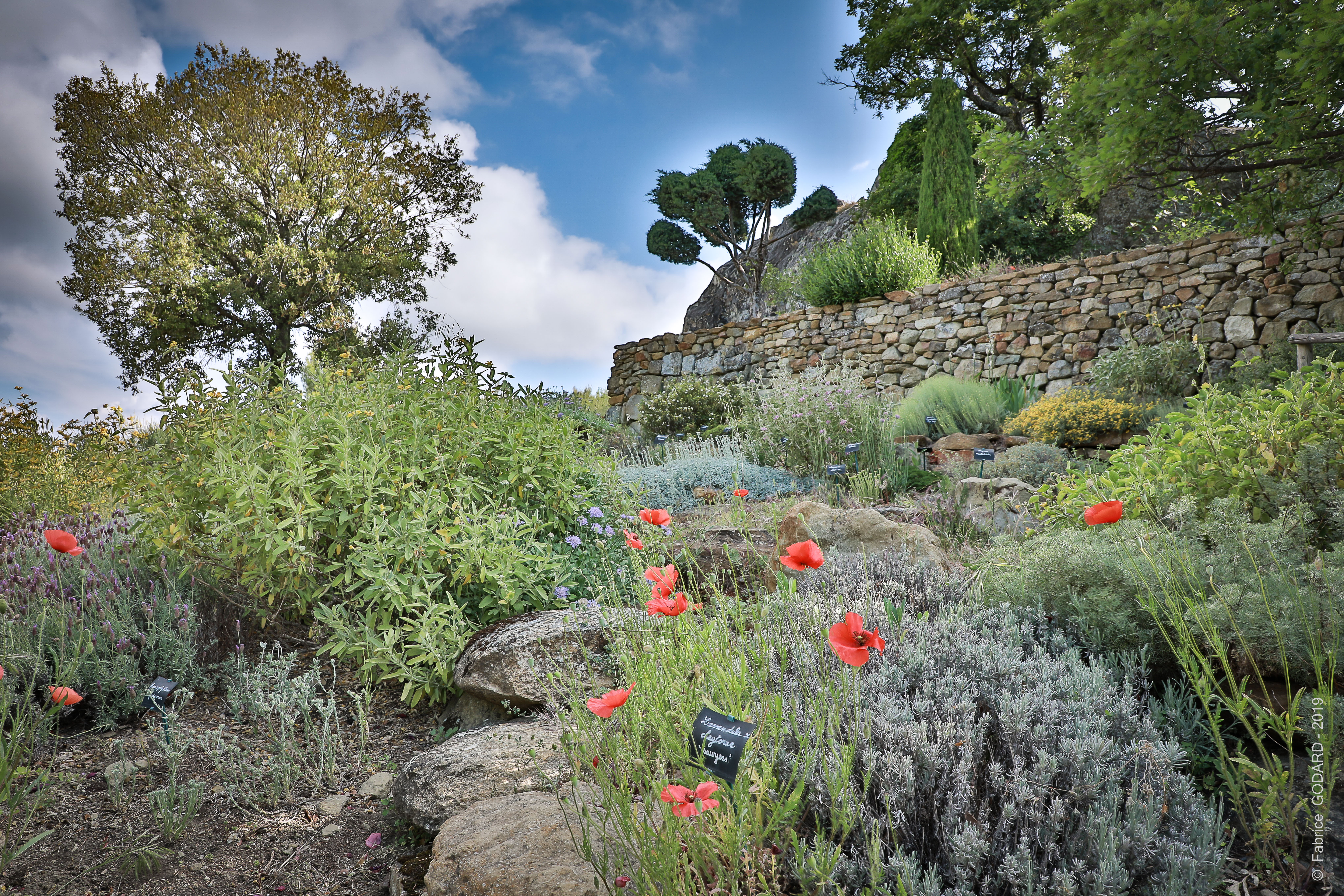 Confrence : Le jardin sec
