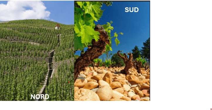 Atelier cole des Vins - La Battle des Crus nord - sud