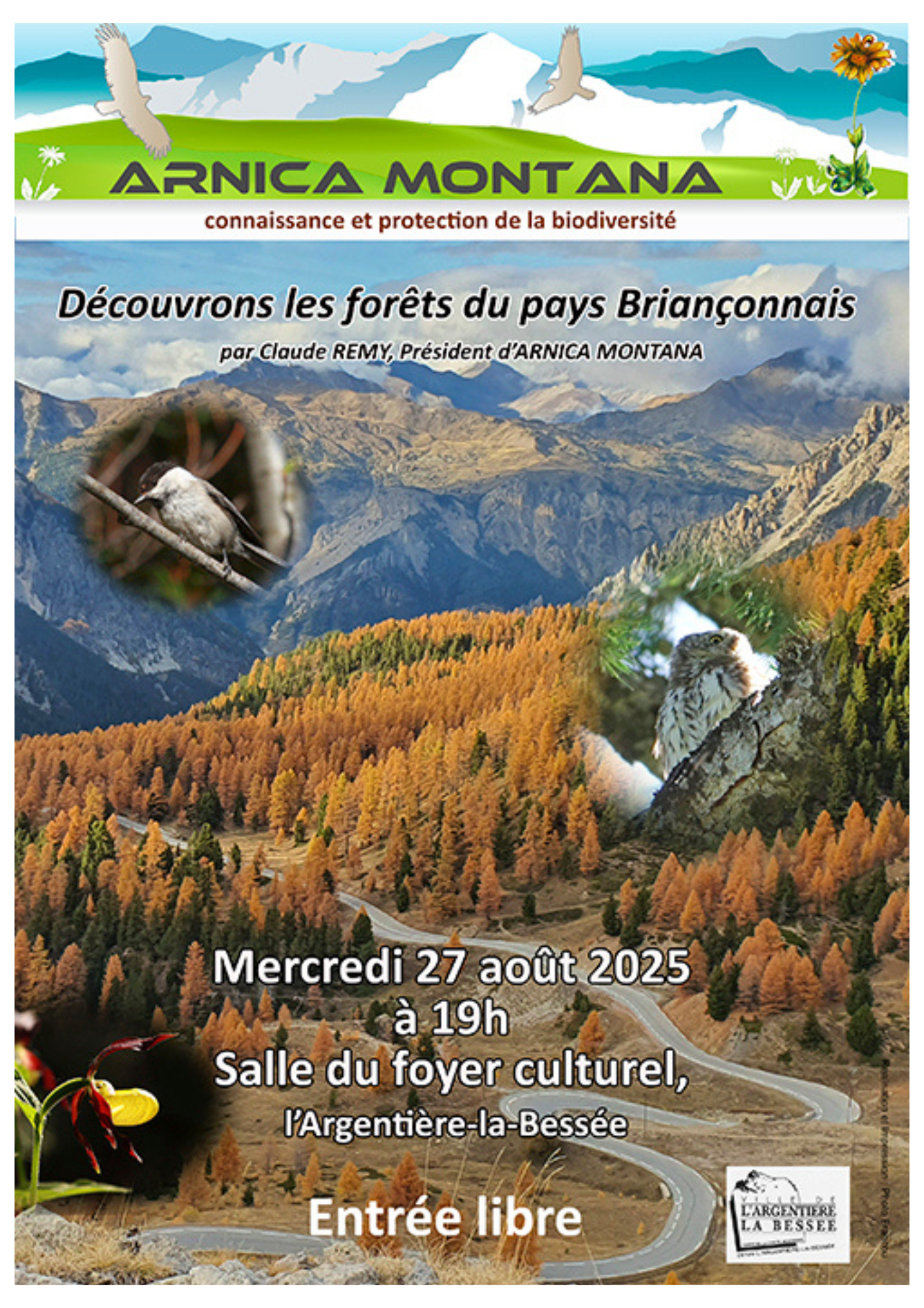 Confrence Arnica Montana