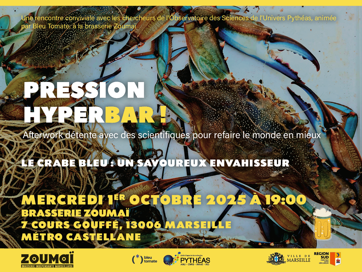 Pression hyperbar ! Le crabe bleu : un savoureux envahisseur