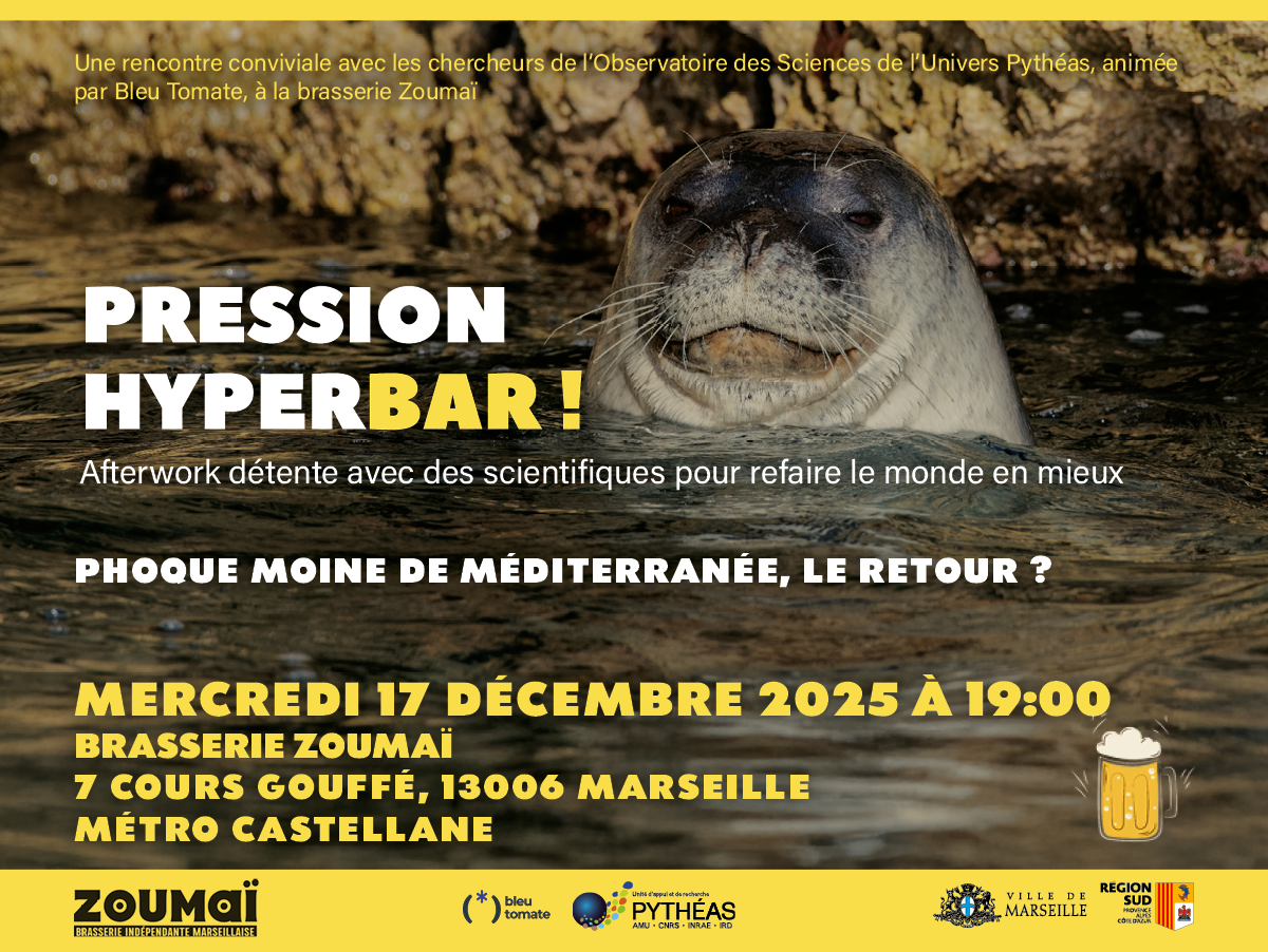 Pression hyperbar ! Phoque moine de Mditerrane, le retour ?
