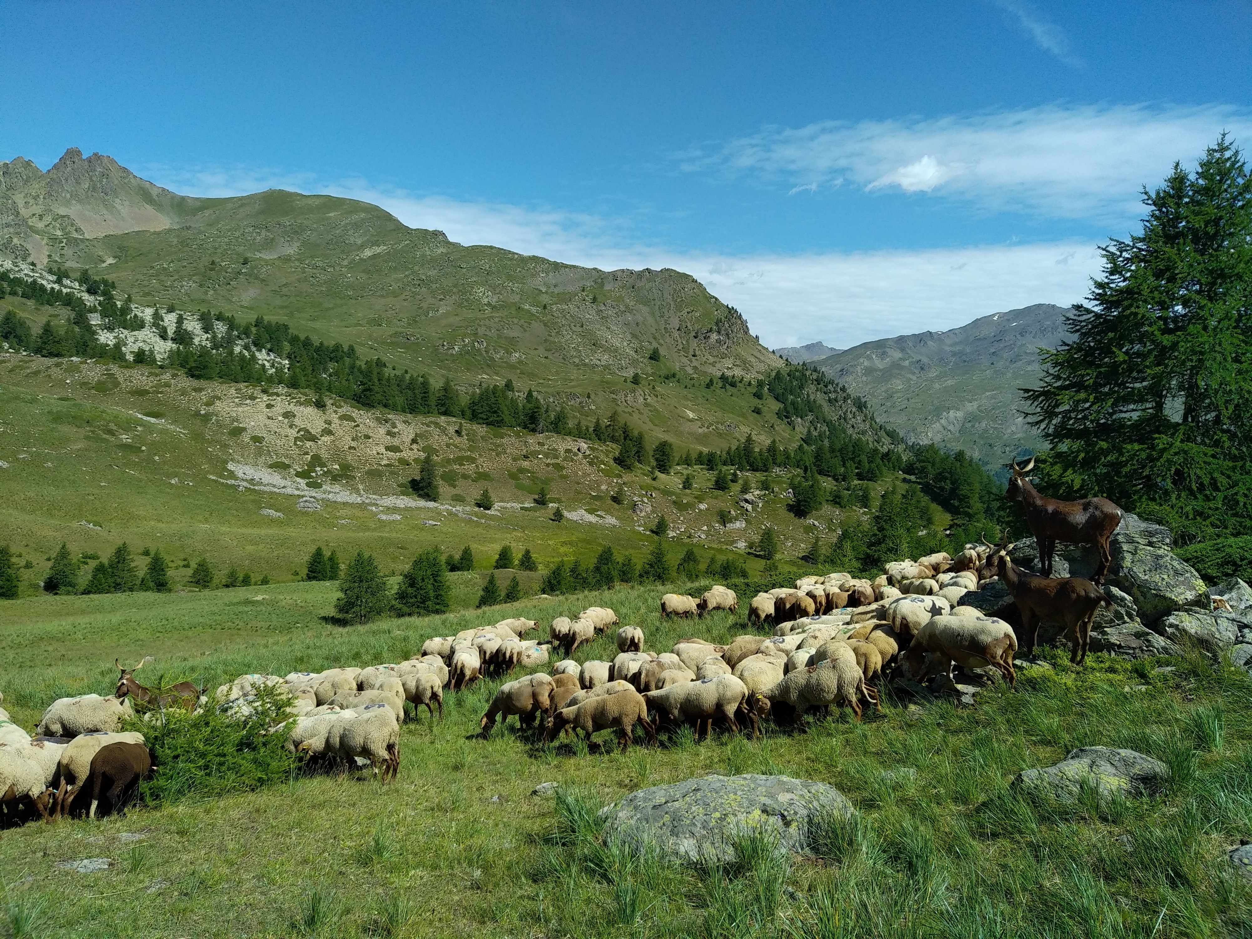 Rencontre avec la mdiatrice pastorale de Nvache.
