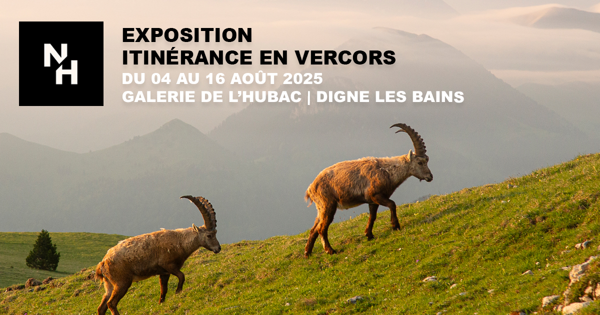 Exposition photo - Itinrance en Vercors