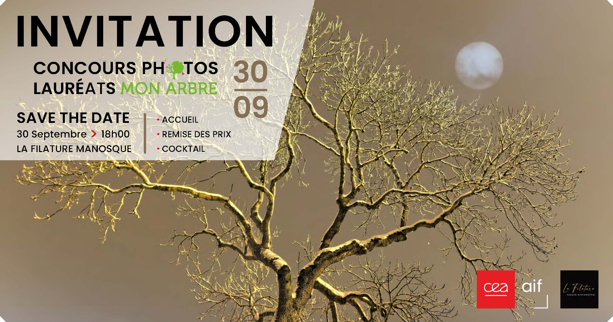 Crmonie de remise des prix du concours photos Mon Arbre