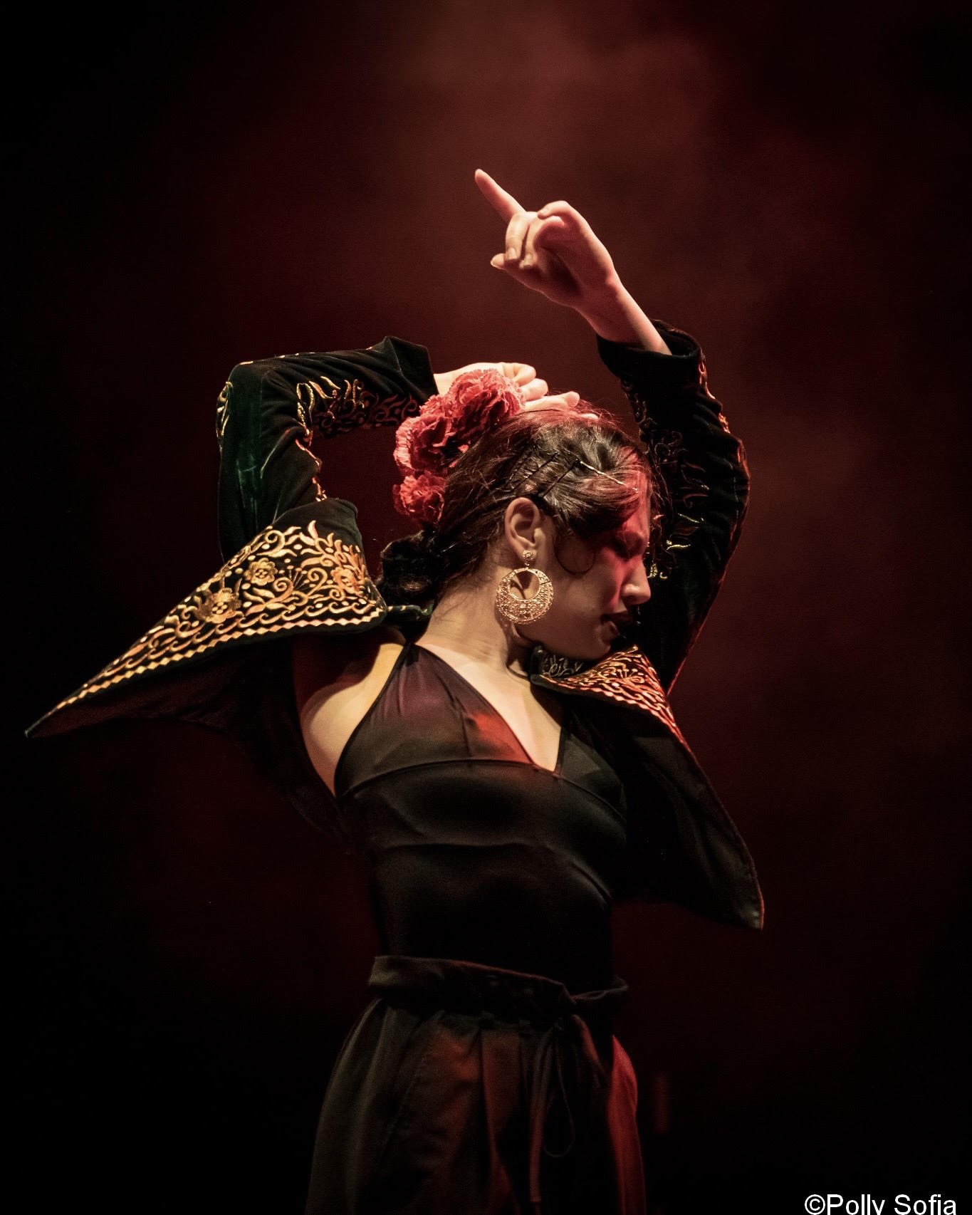De lArchet au Tacn: Voyage entre Classique et Flamenco