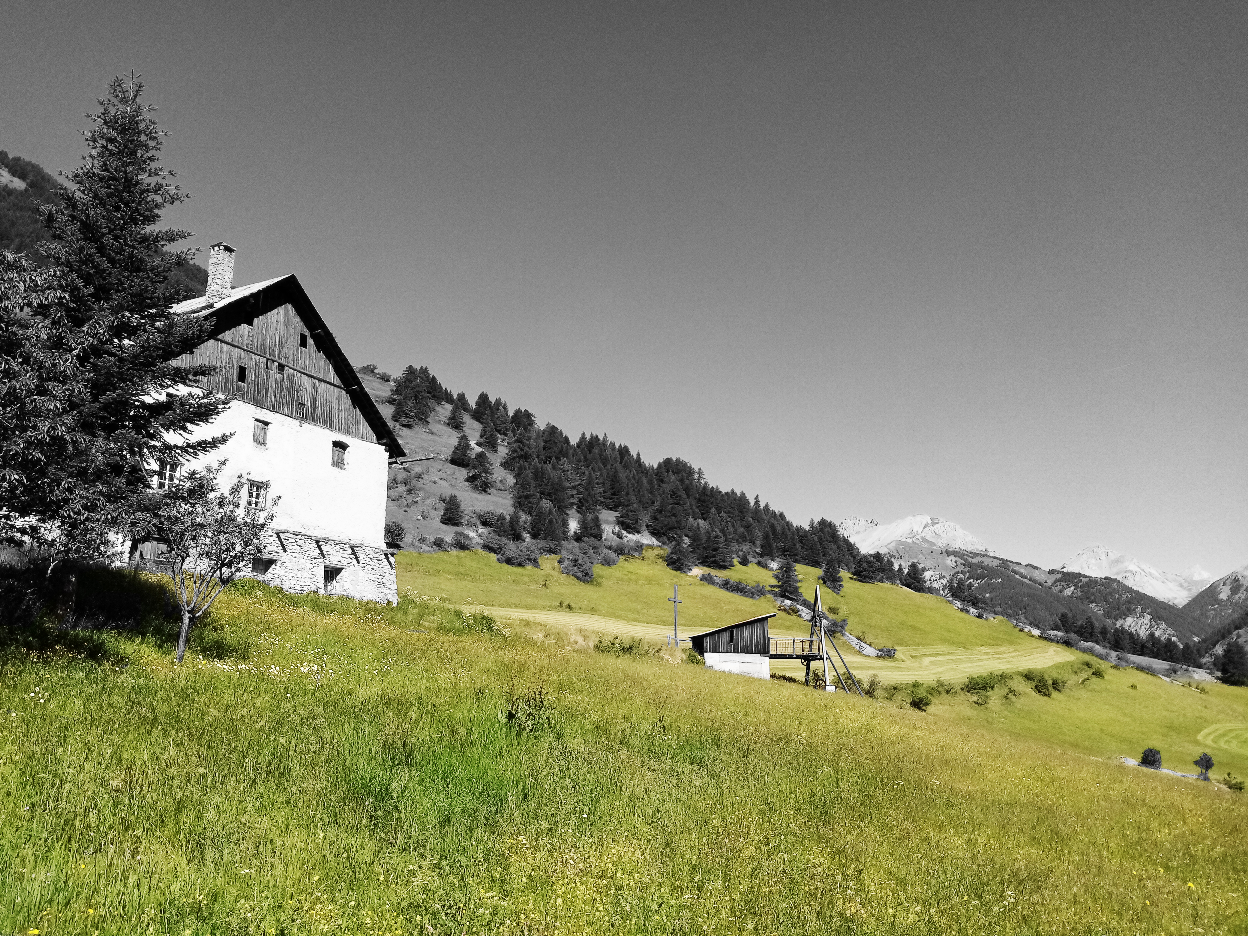 Rando curieuse : La saga de l'herbe