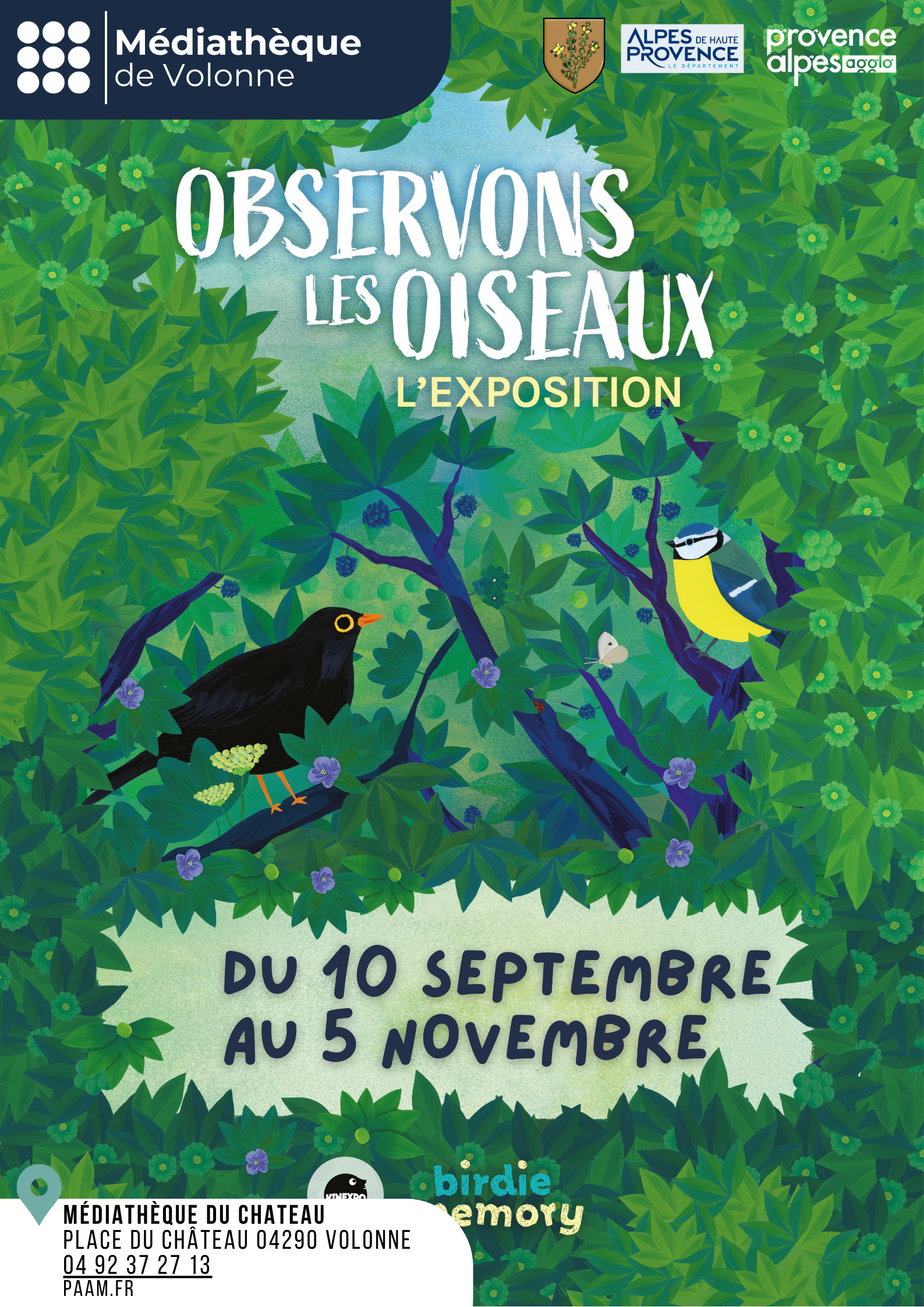 Exposition : Observons les oiseaux