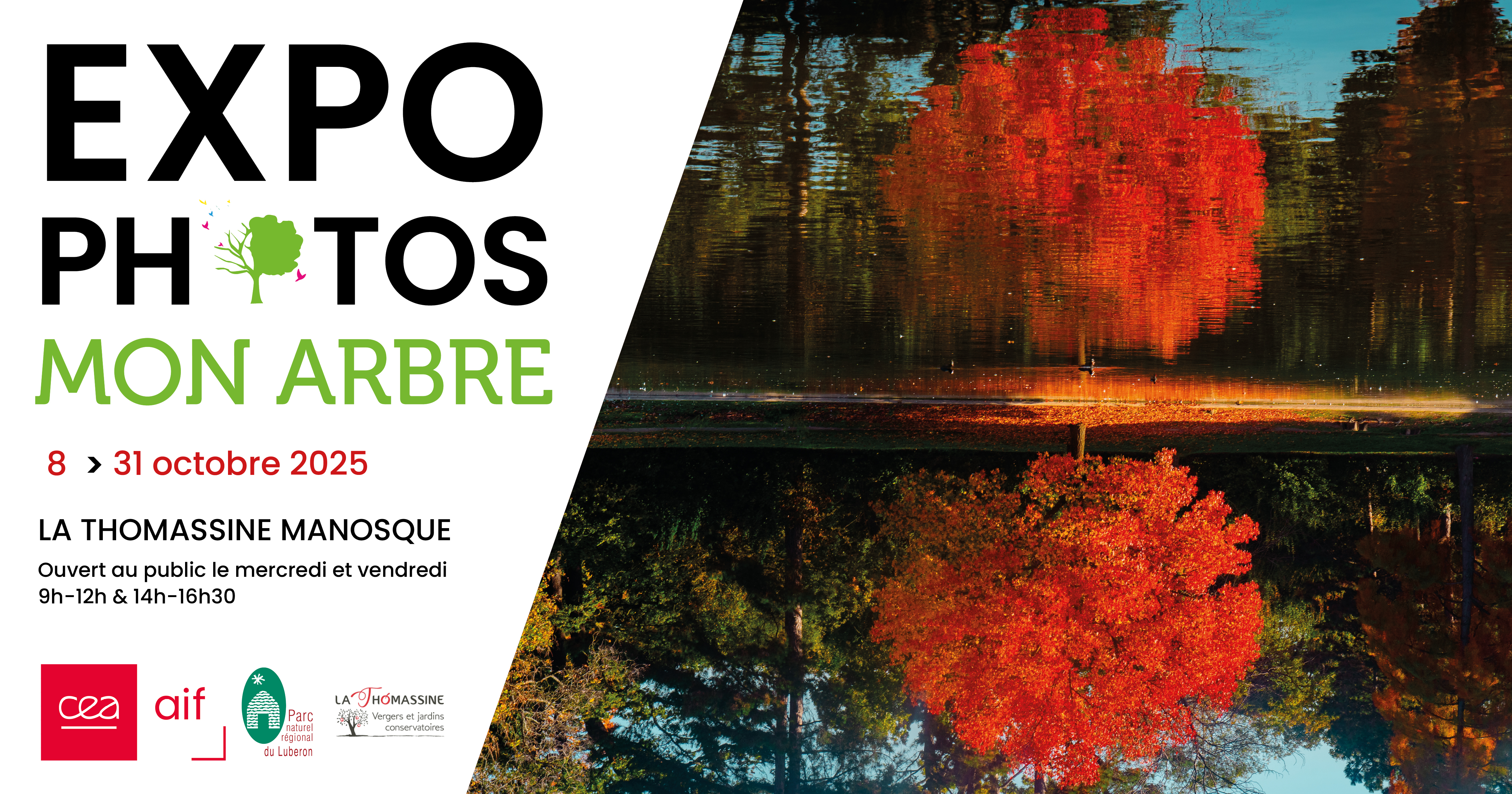 Exposition de photos : Mon arbre
