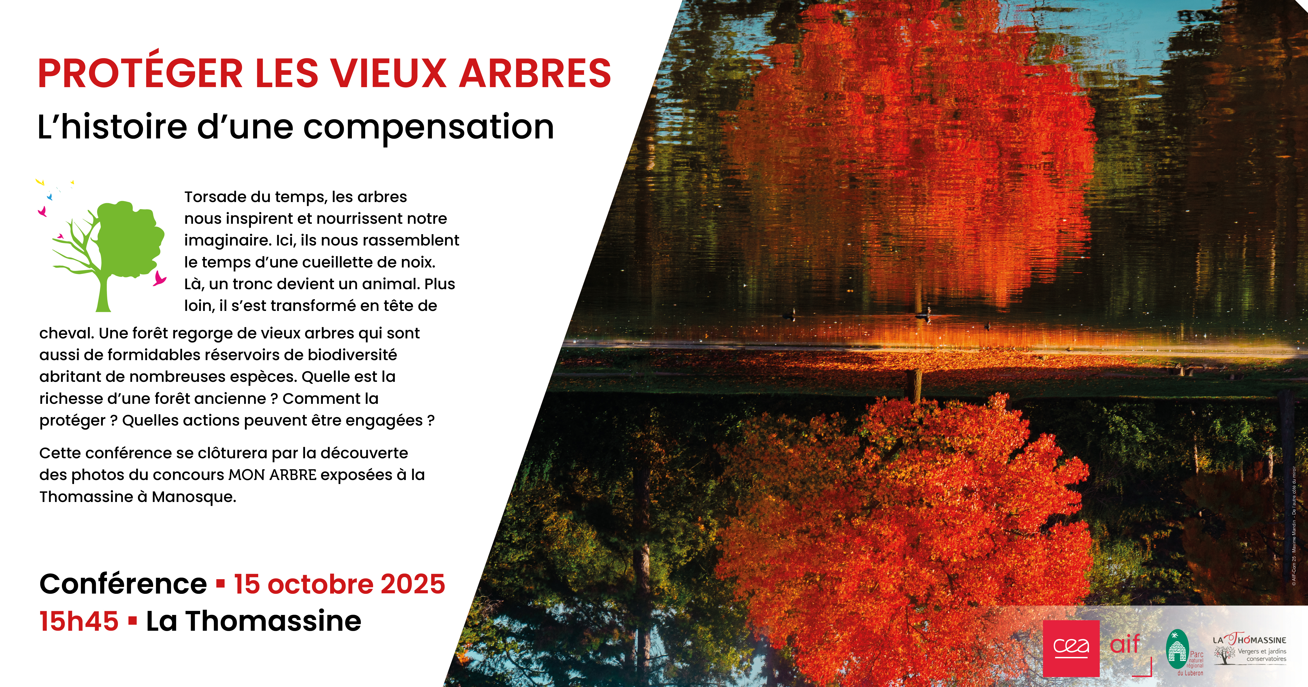 Protger les vieux arbres, l'histoire d'une compensation