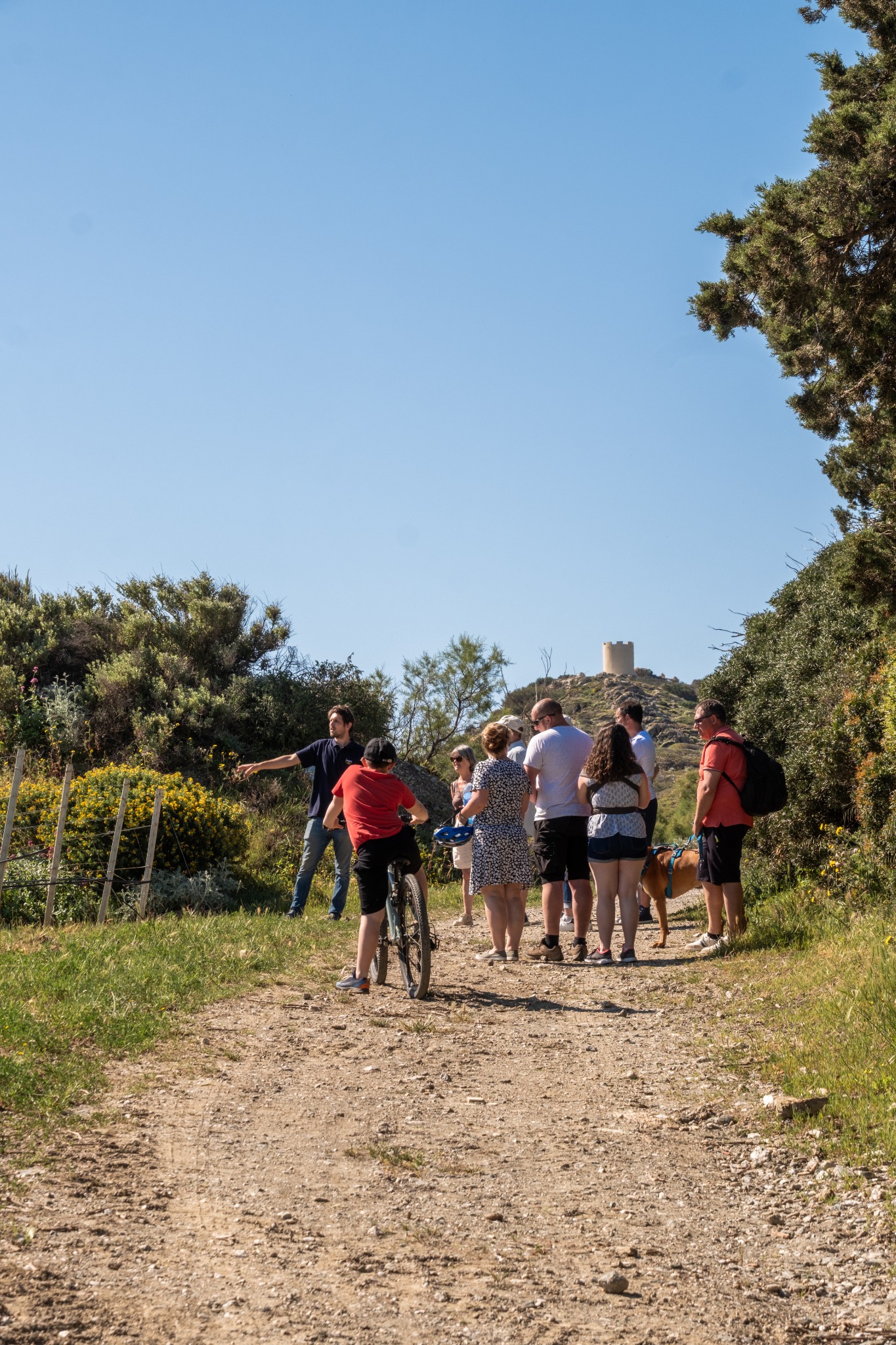 Les visites du domaine des Embiez