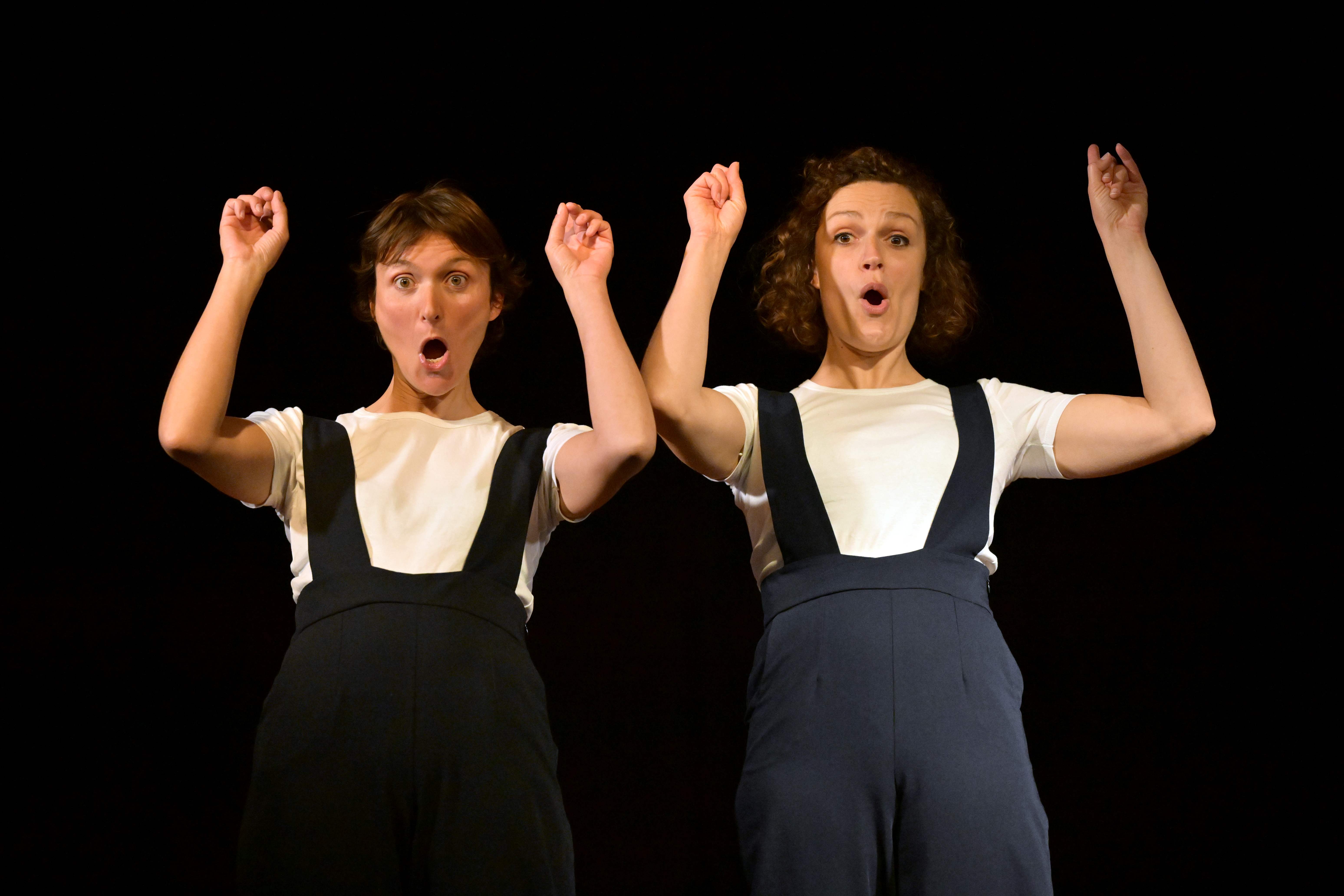 Thtre - Madame Bovary en plus drle et moins long