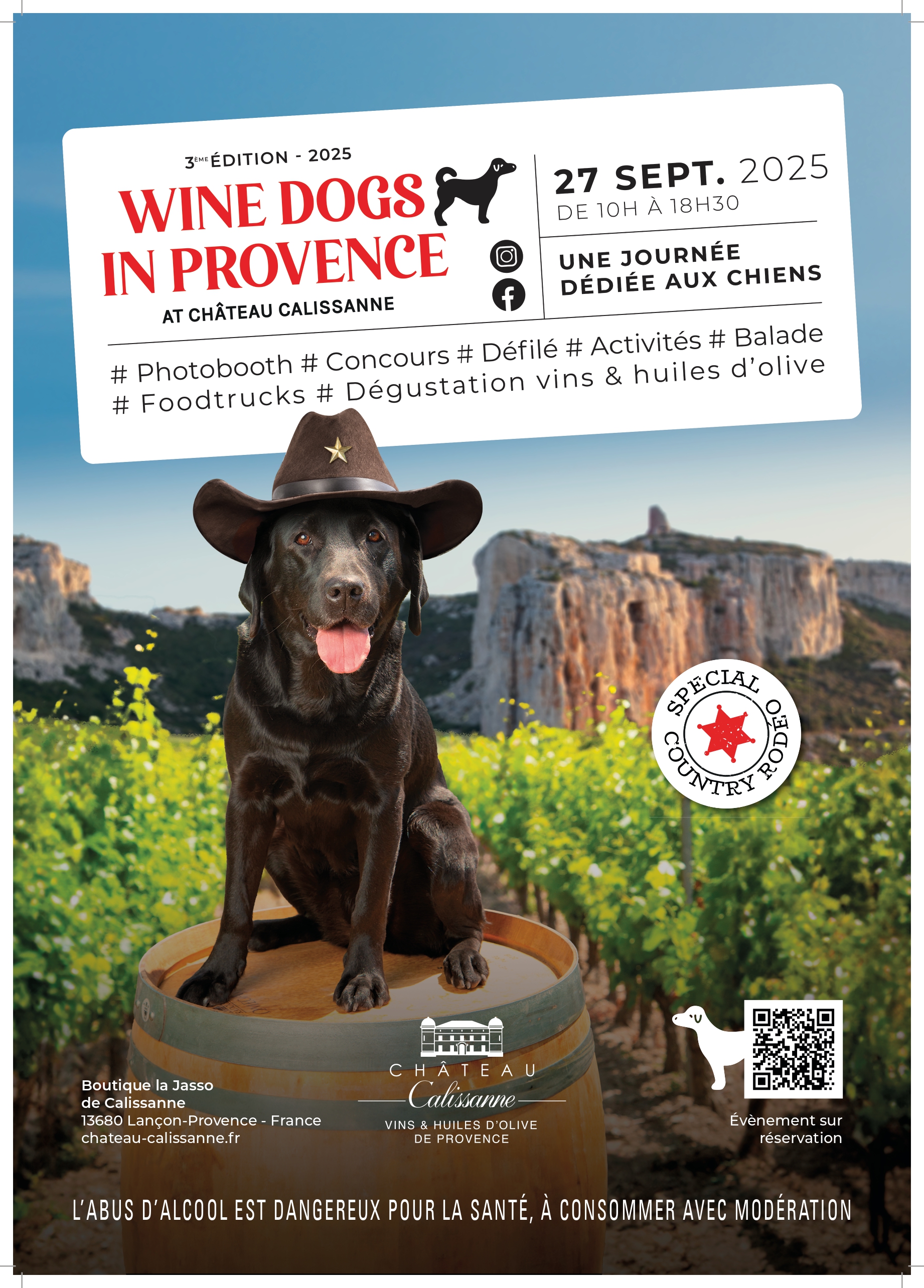 Wine Dogs in Provence