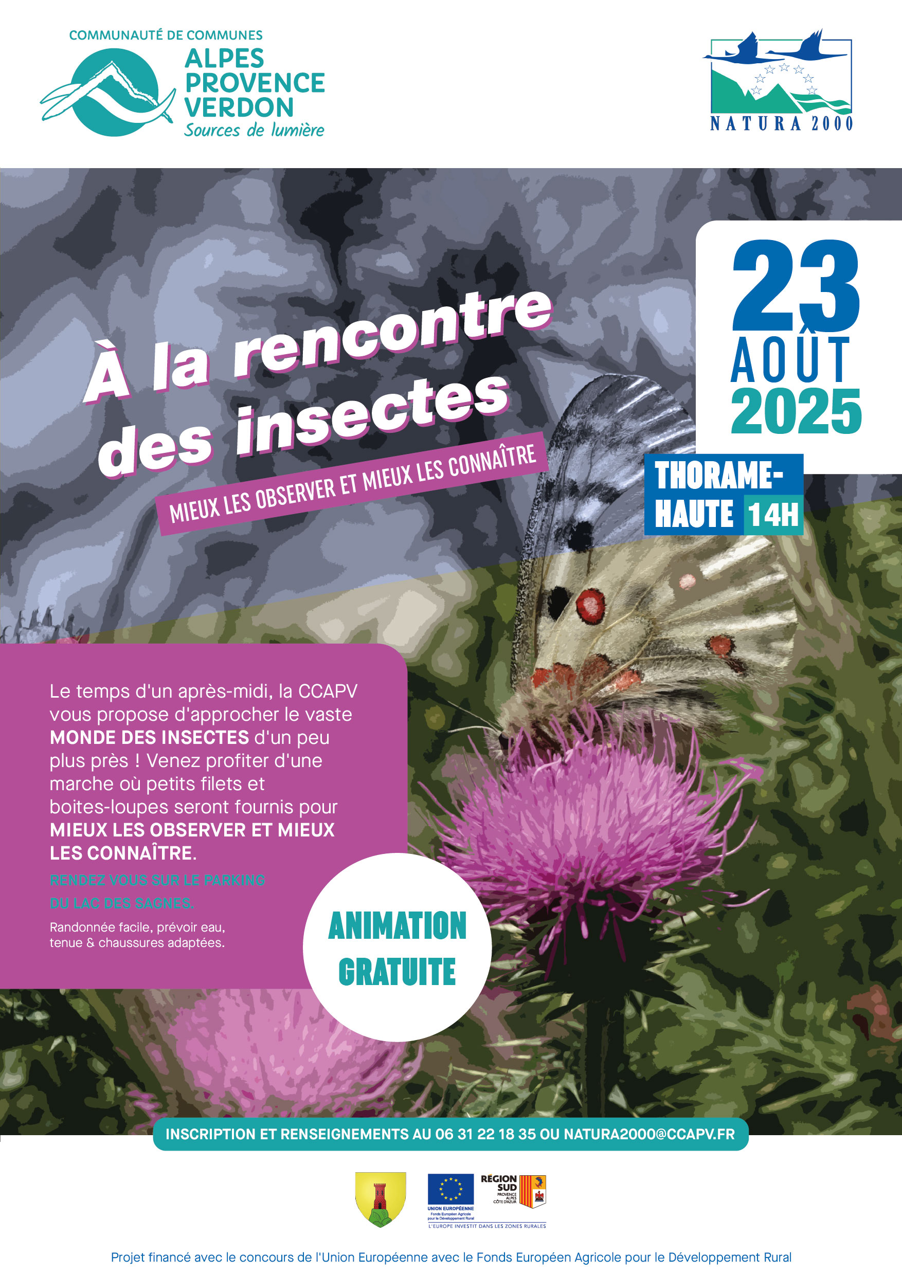 A la rencontre des insectes - mieux les observer et mieux les connatre