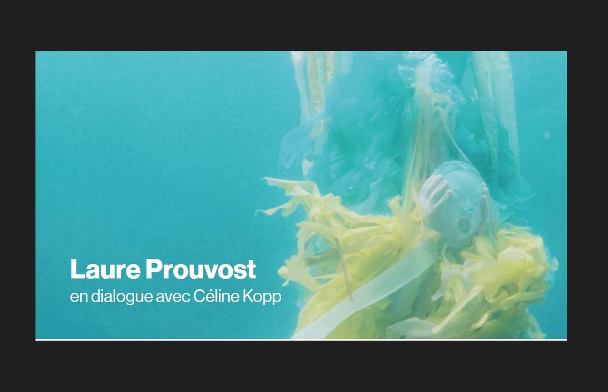 Rencontre avec Laure Prouvost