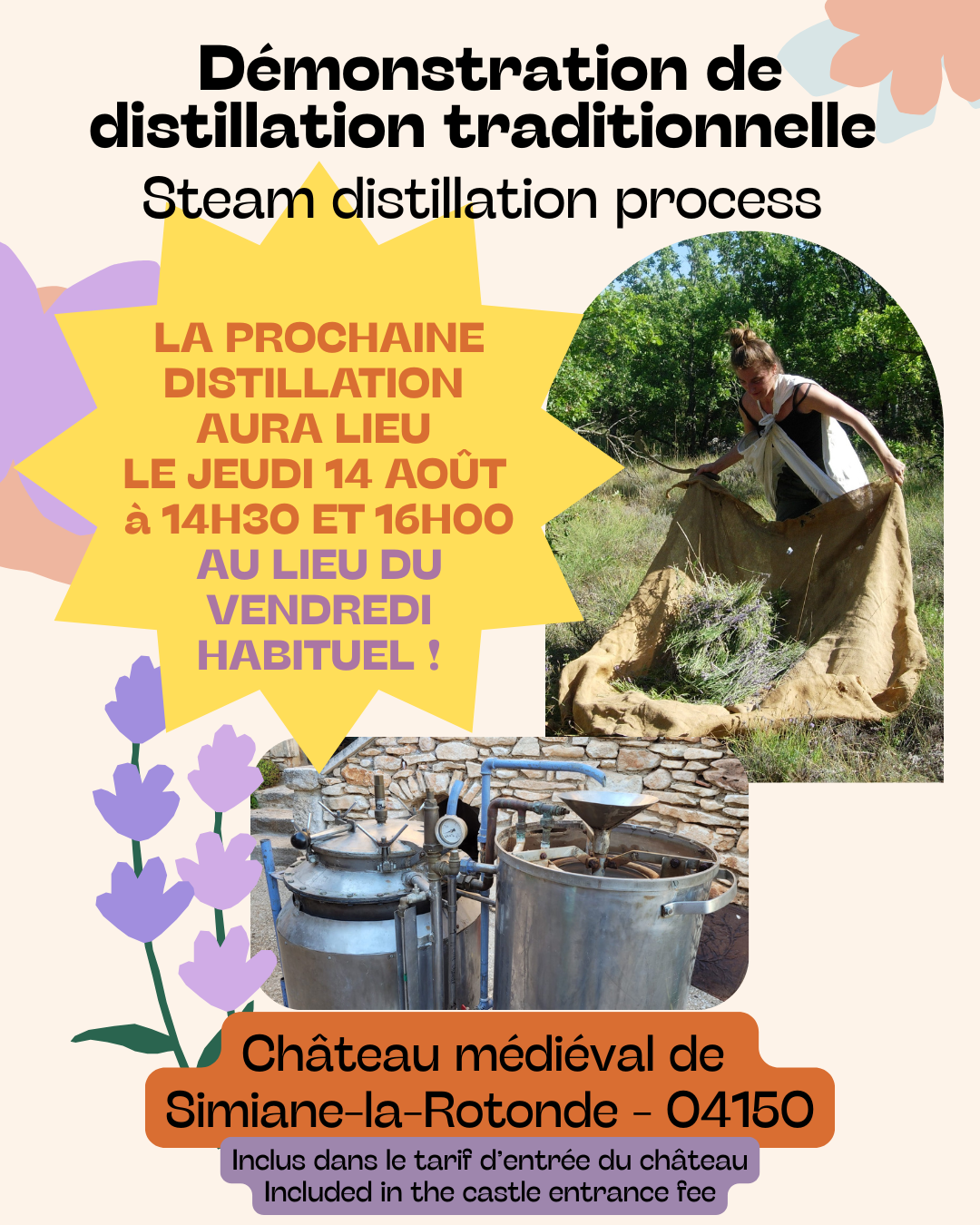 Distillation de lavandes au Chteau