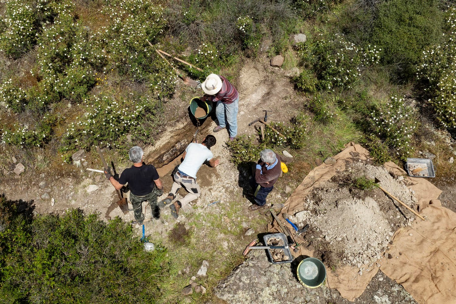 Confrence :  Sauvetage dun tronc fossile sur le Dme de Biot /Villeneuve Loubet 