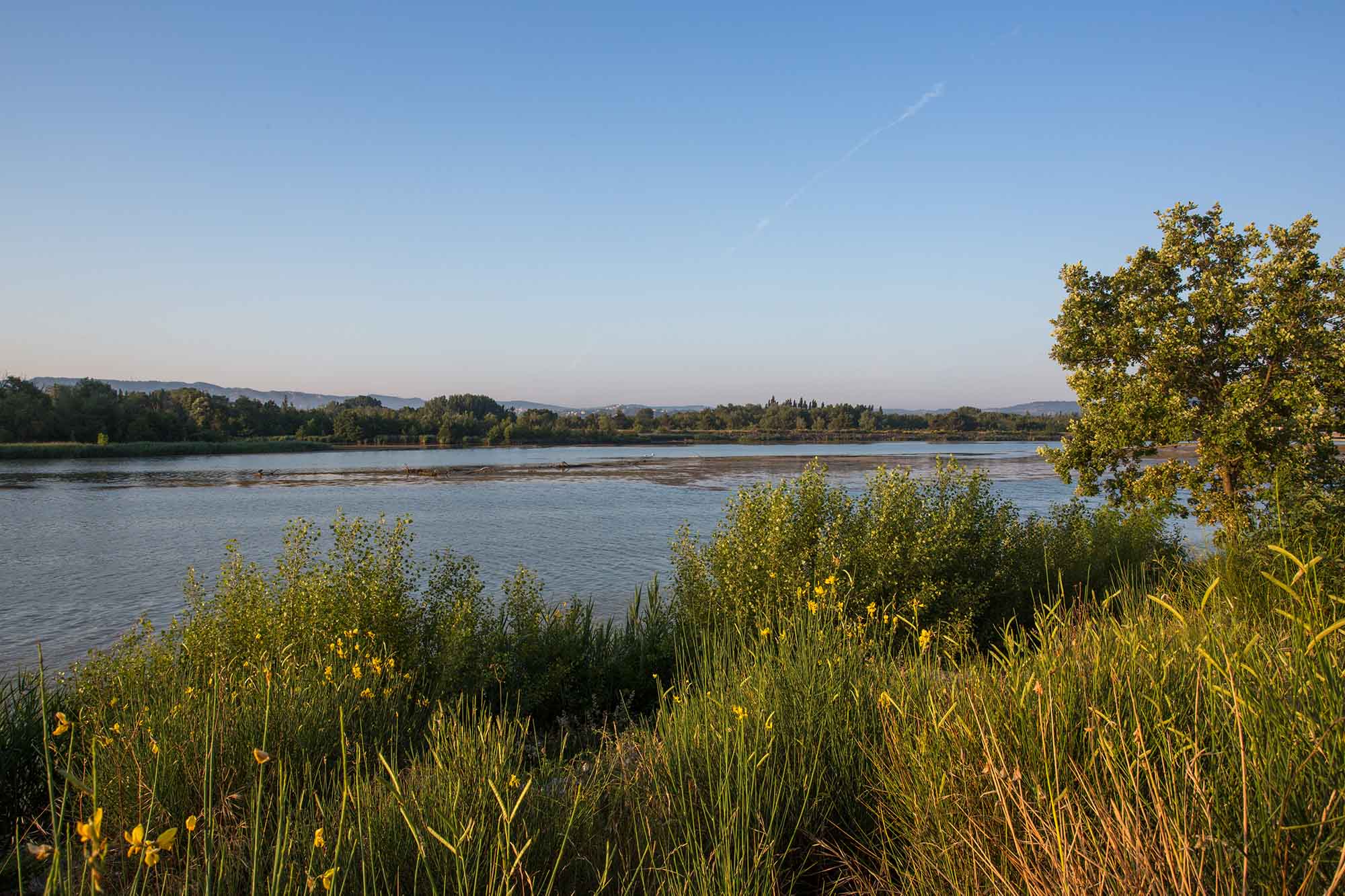Nature en famille : de la Garrigue  l'observation des oiseaux