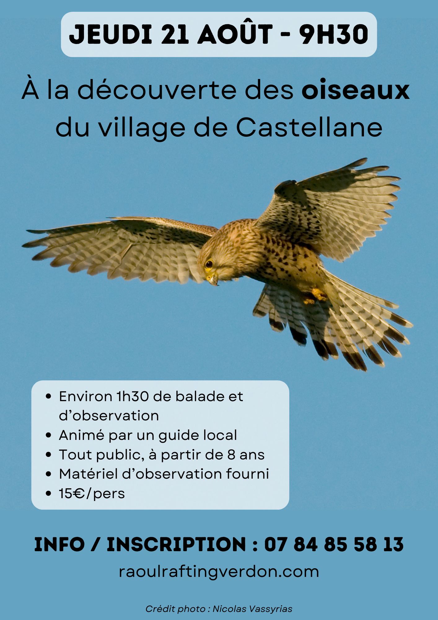 Dcouverte des oiseaux du village de Castellane