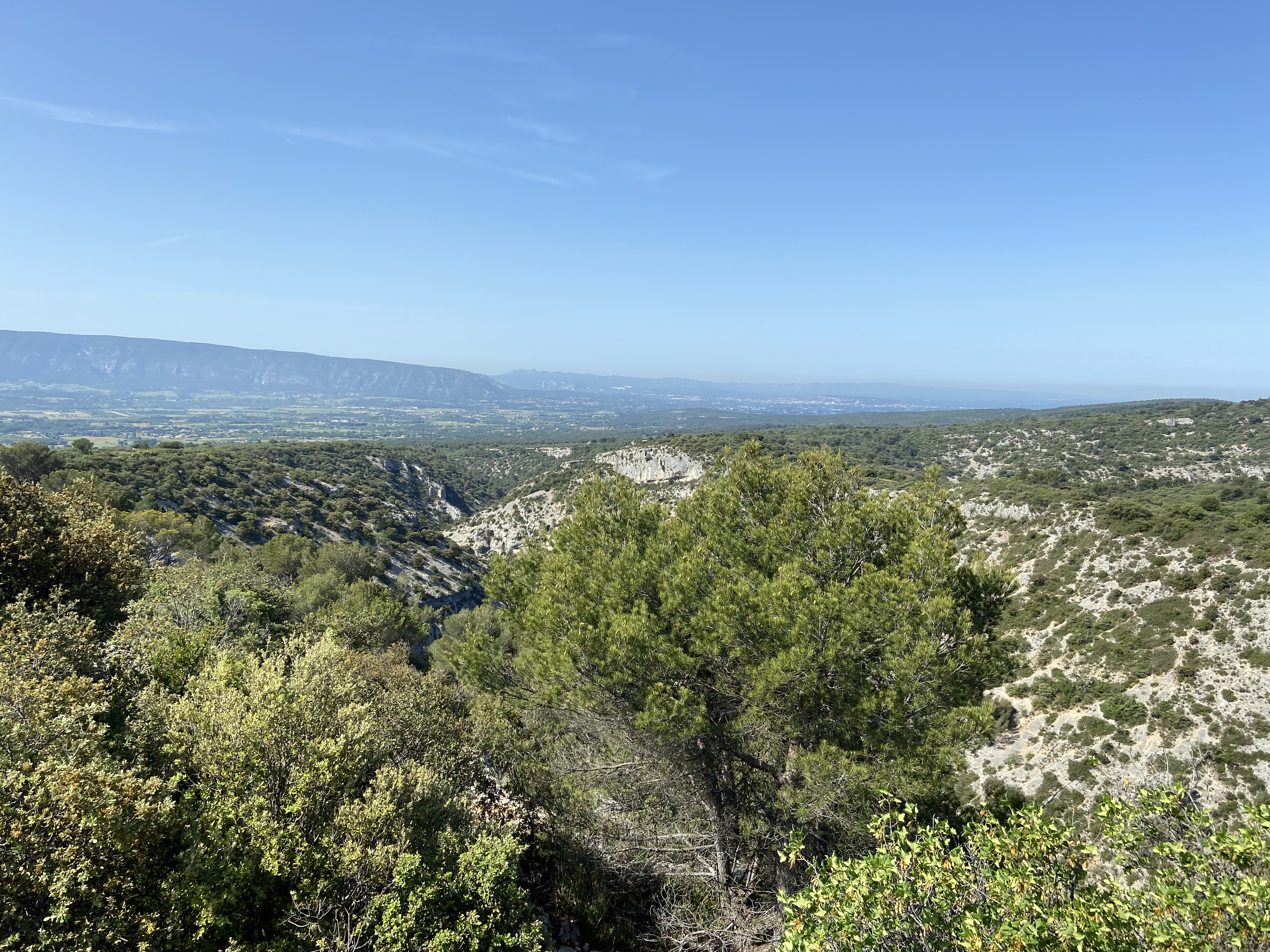 Sentier du maquis par la Snancole : Nature et Mmoire