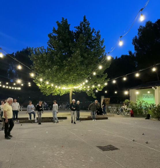 Afterwork ptanque