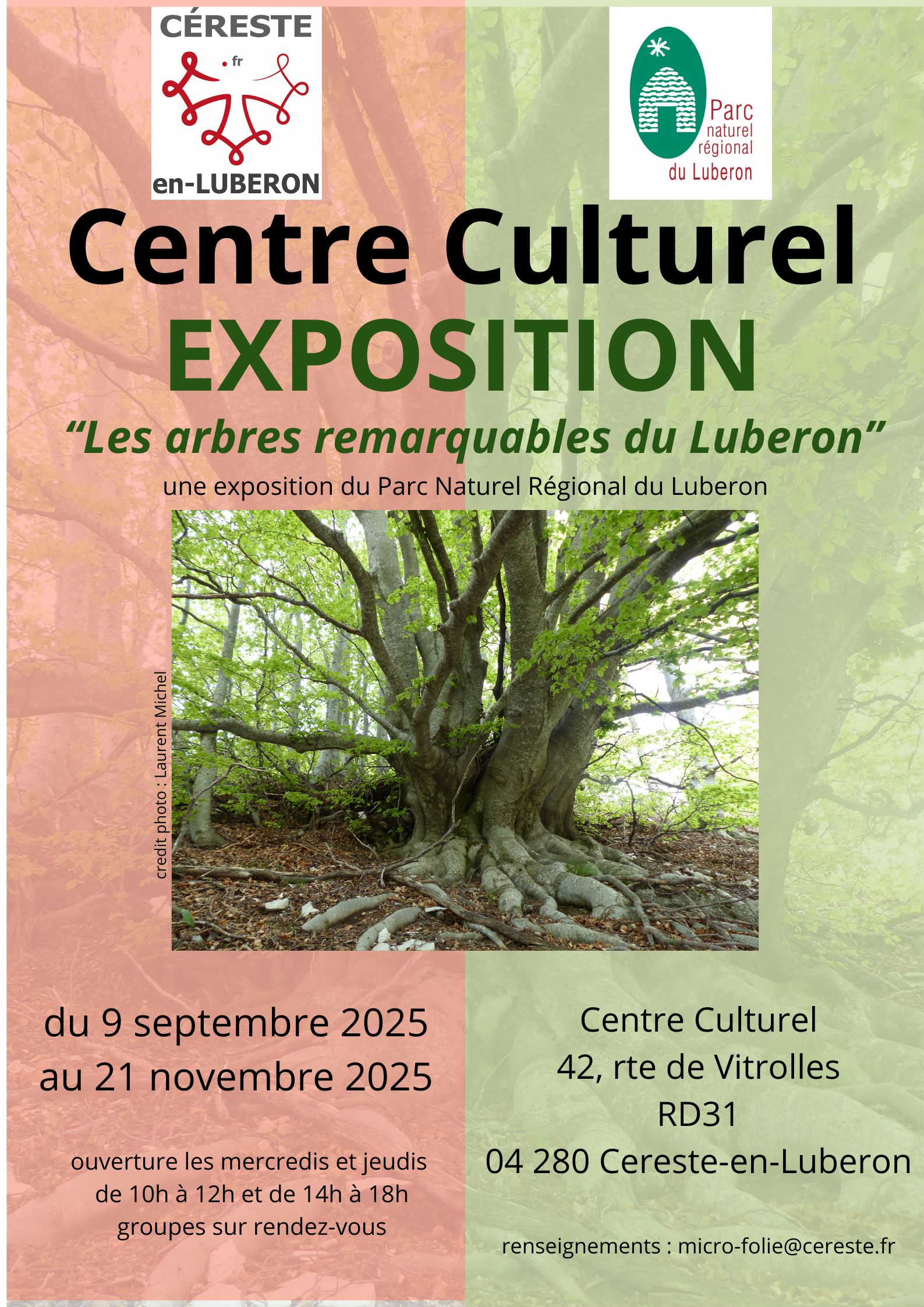 Les arbres remarquables du Luberon