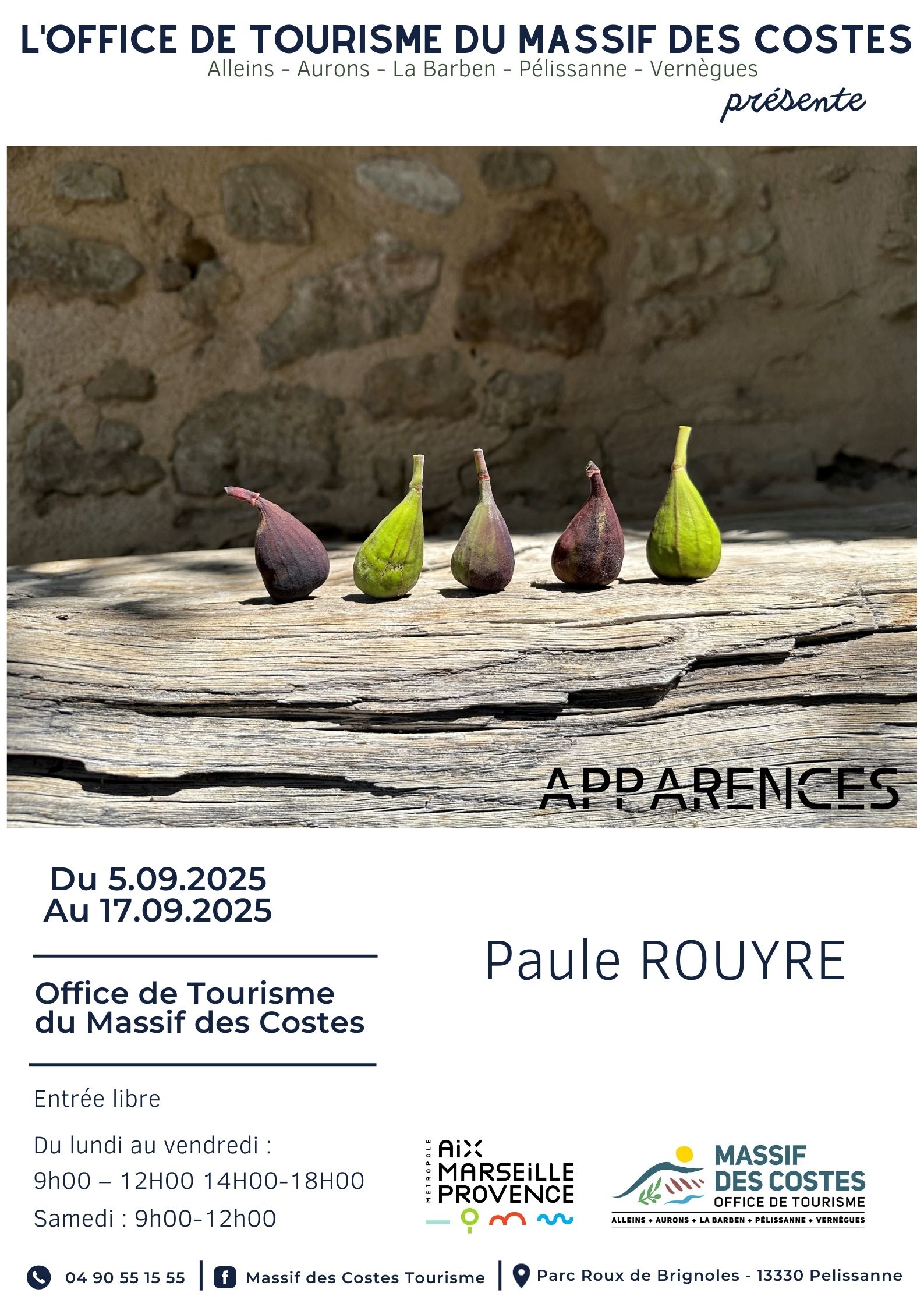 Apparences - exposition de peintures et photographies de Paule Rouyre