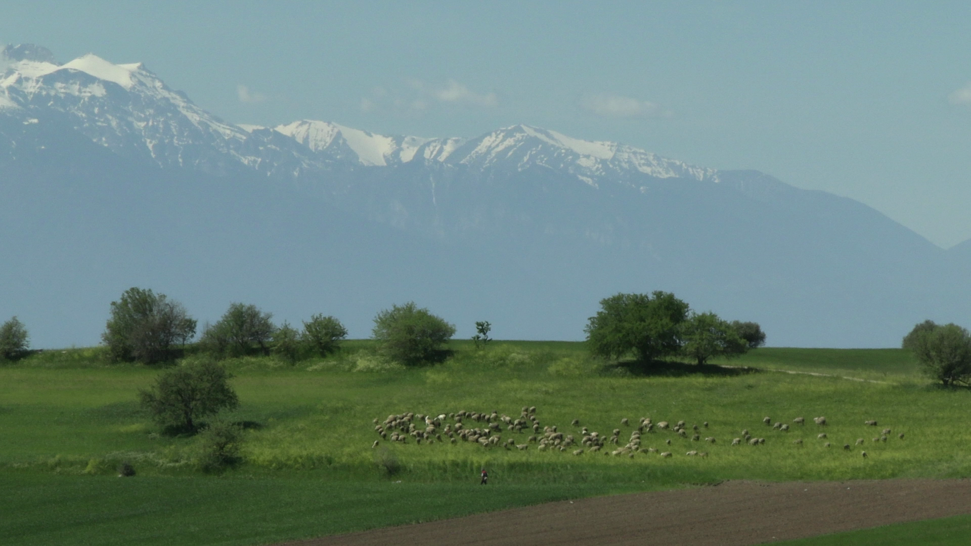 �tape de cr�ation Ludovic Hadjeras - Transhumance