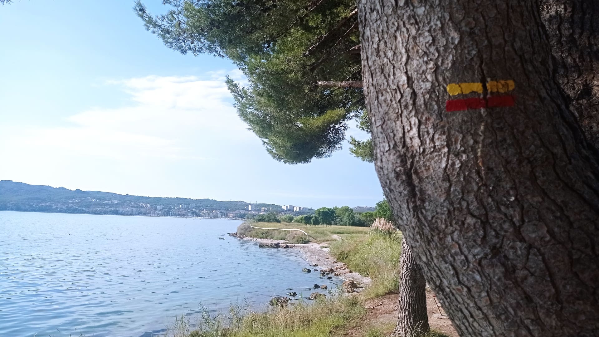 Eco balade autour de l'tang de Berre