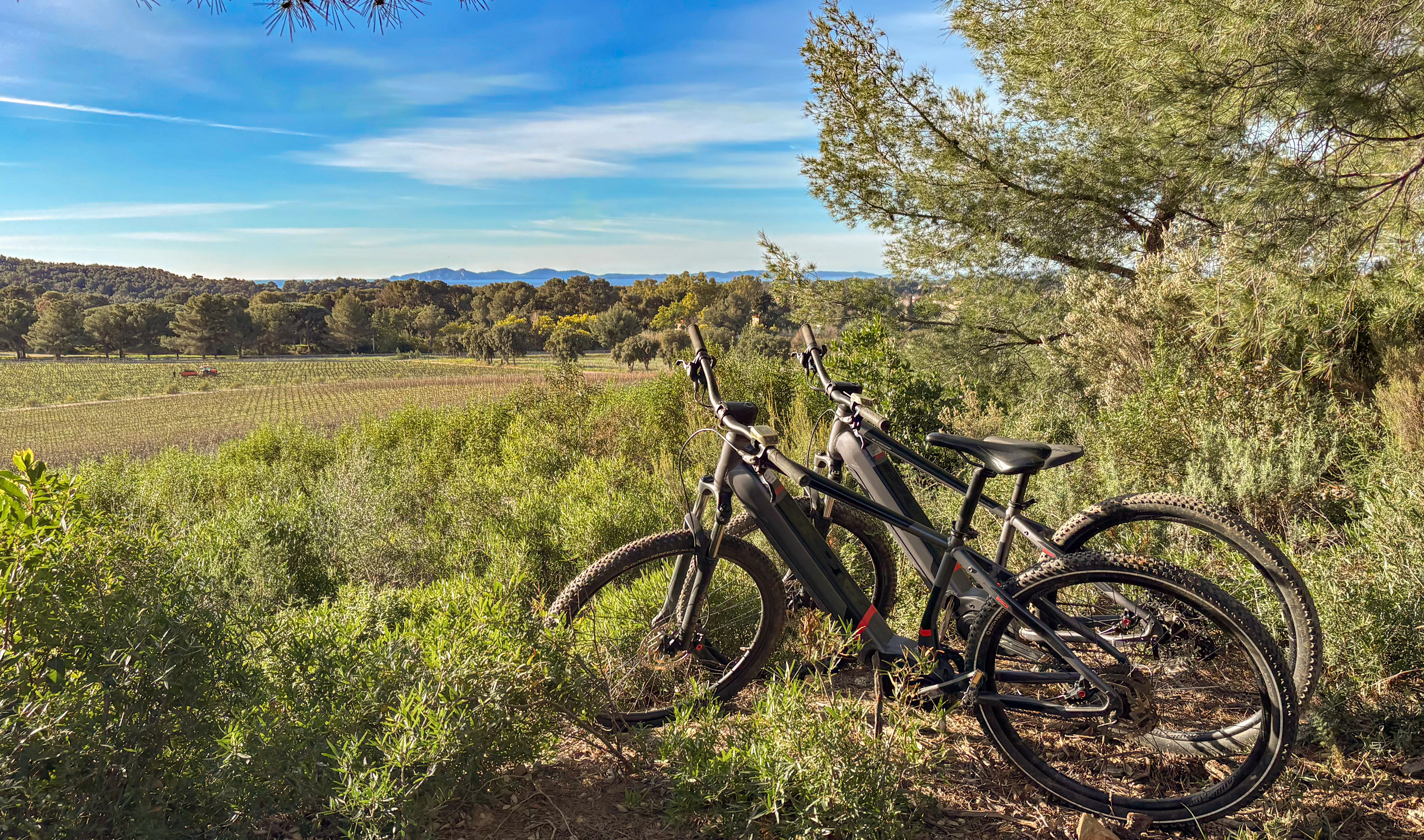 Flnerie nologique en VTT lectrique dans les vignes  Figuire