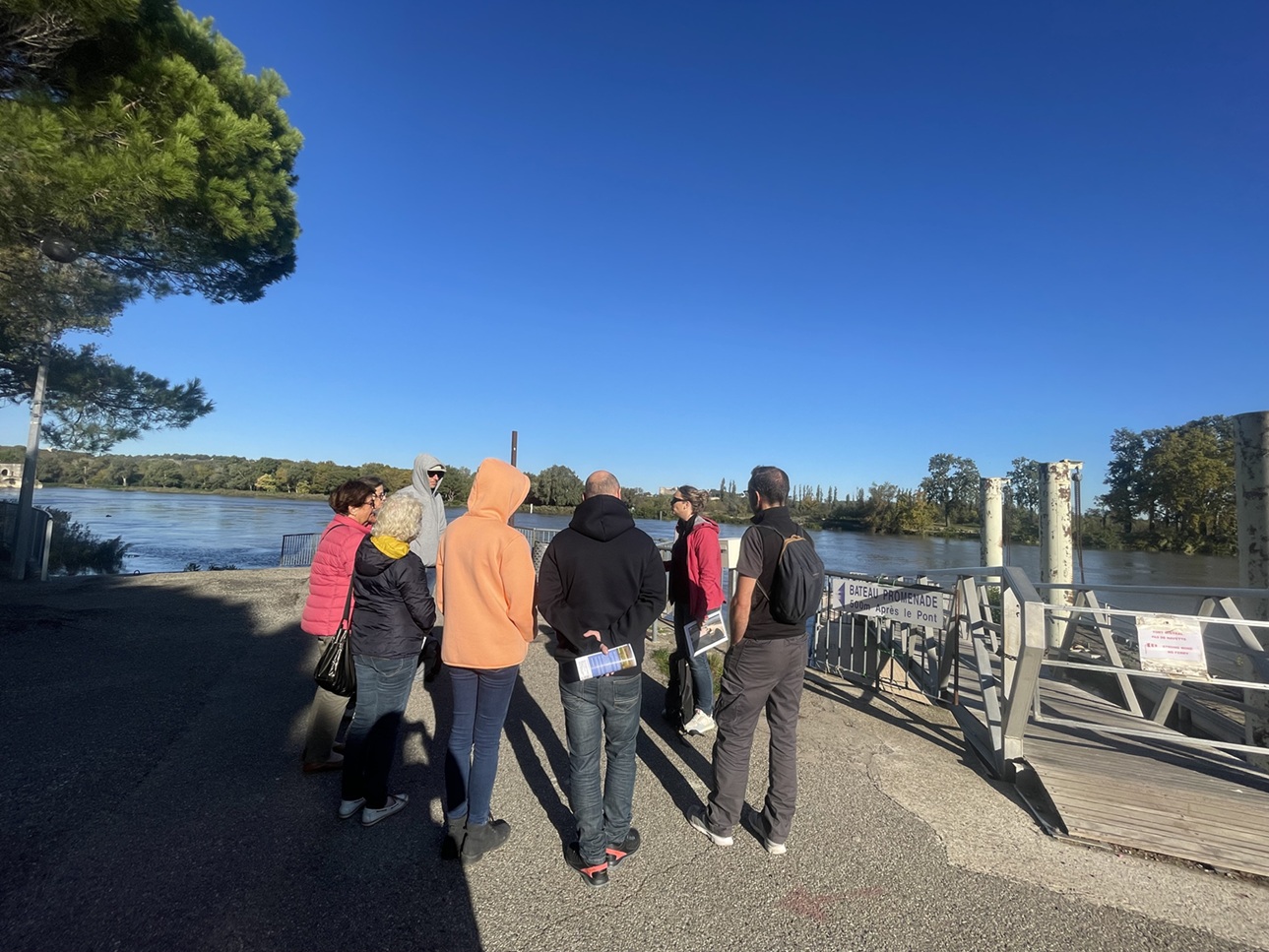 Avignon au fil des crues du Rhne