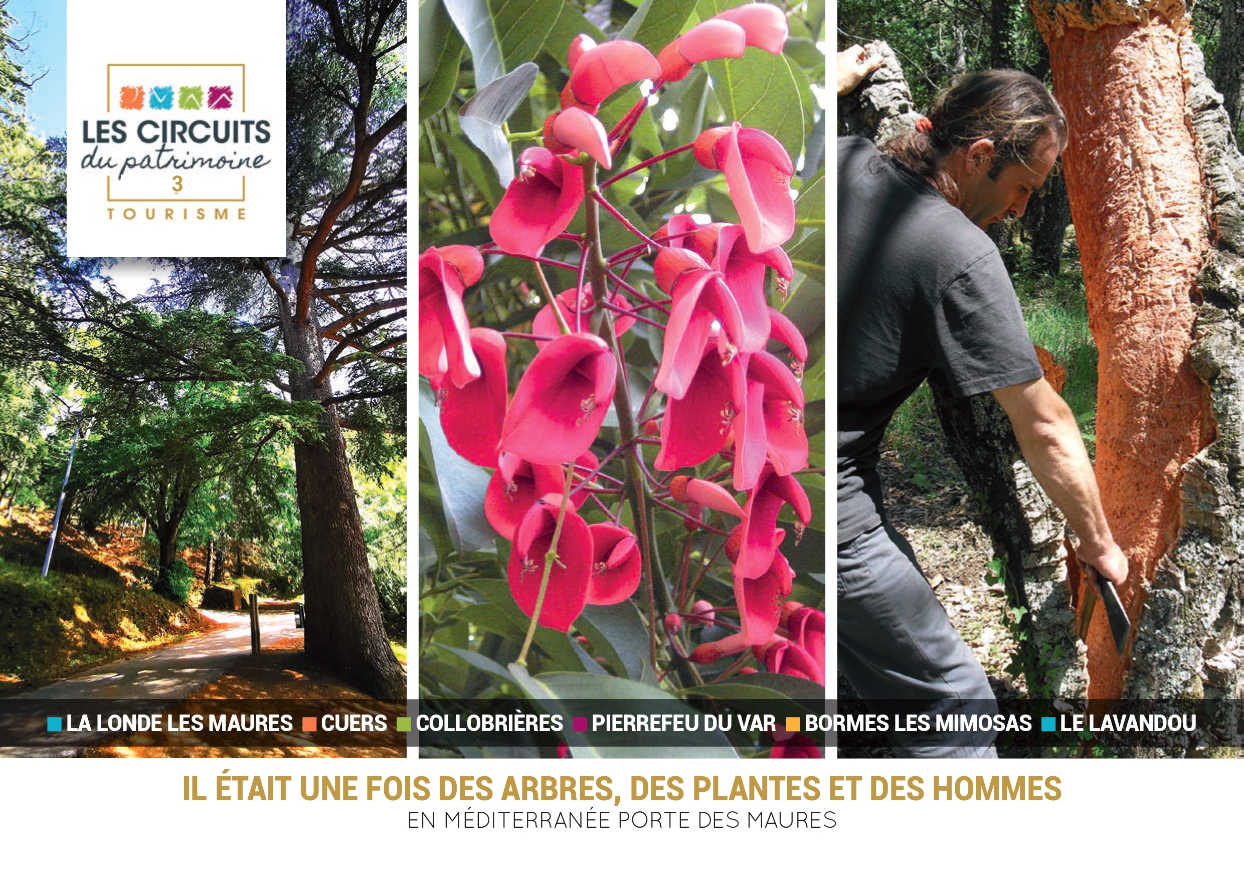 Les Circuits du Patrimoine : Il tait une fois des Arbres, des Plantes et des Hommes en Mditerrane Porte des Maures