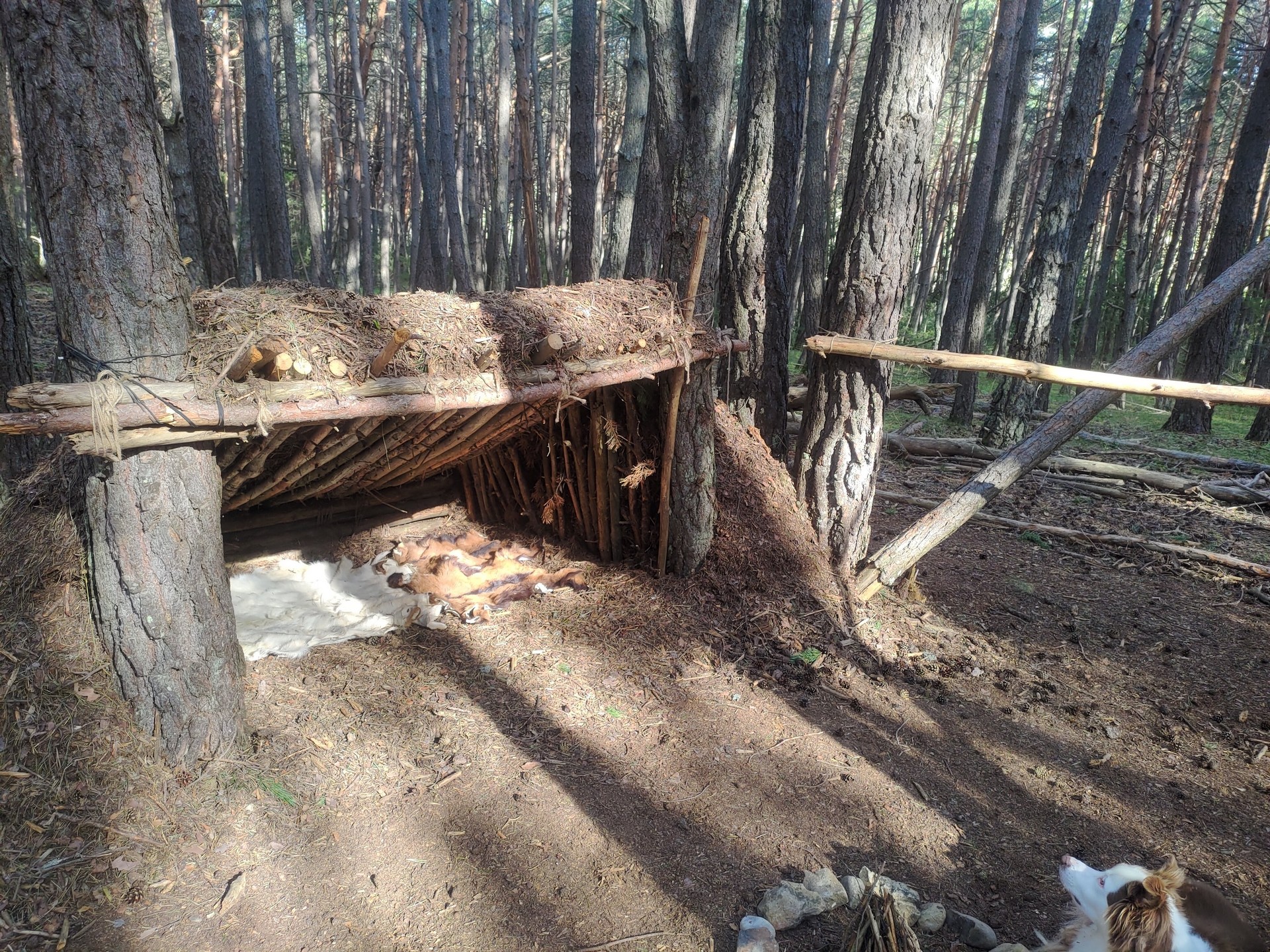Atelier survivalisme
