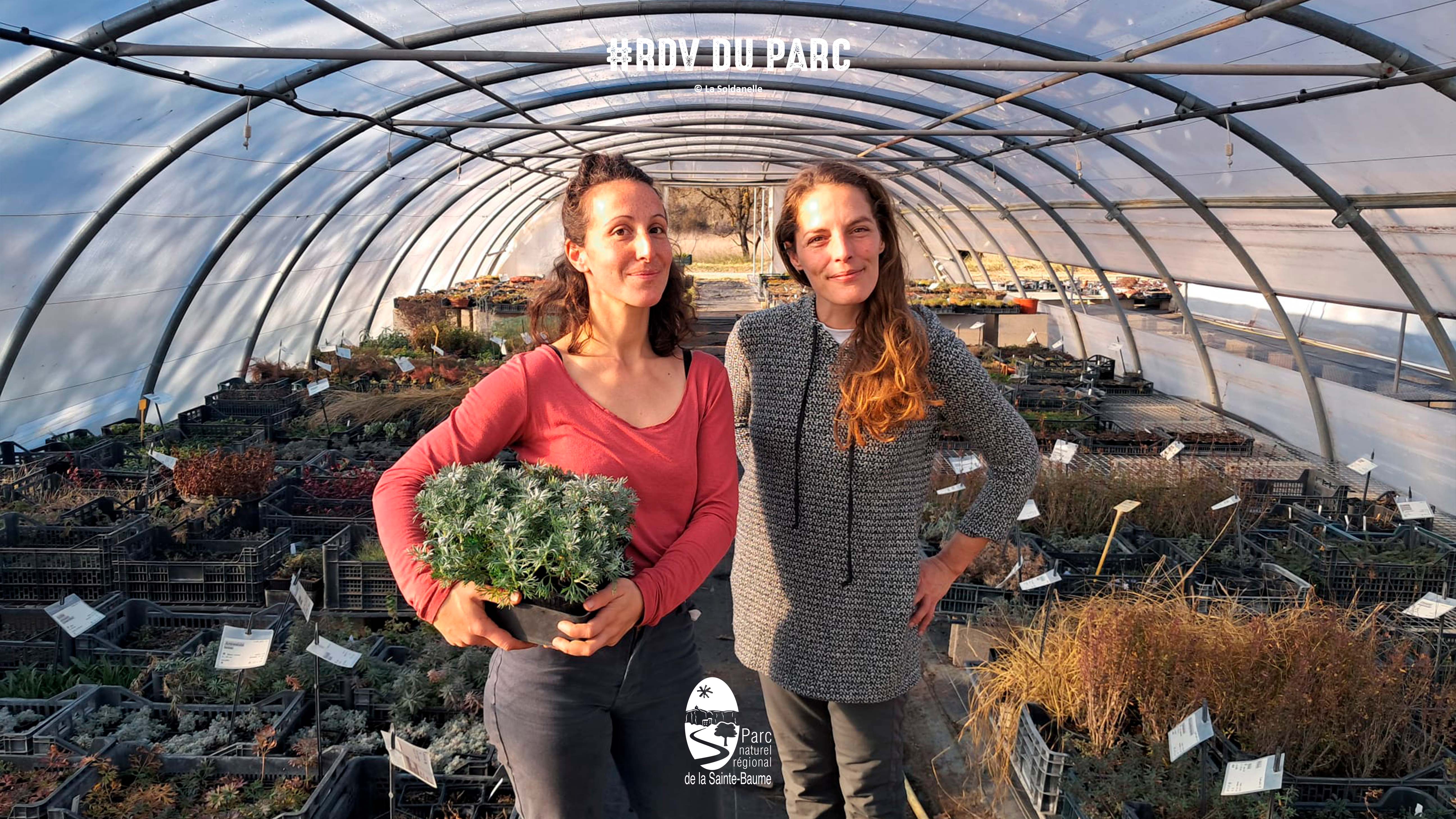 Economisons l'eau, plantons local #RDVduParc