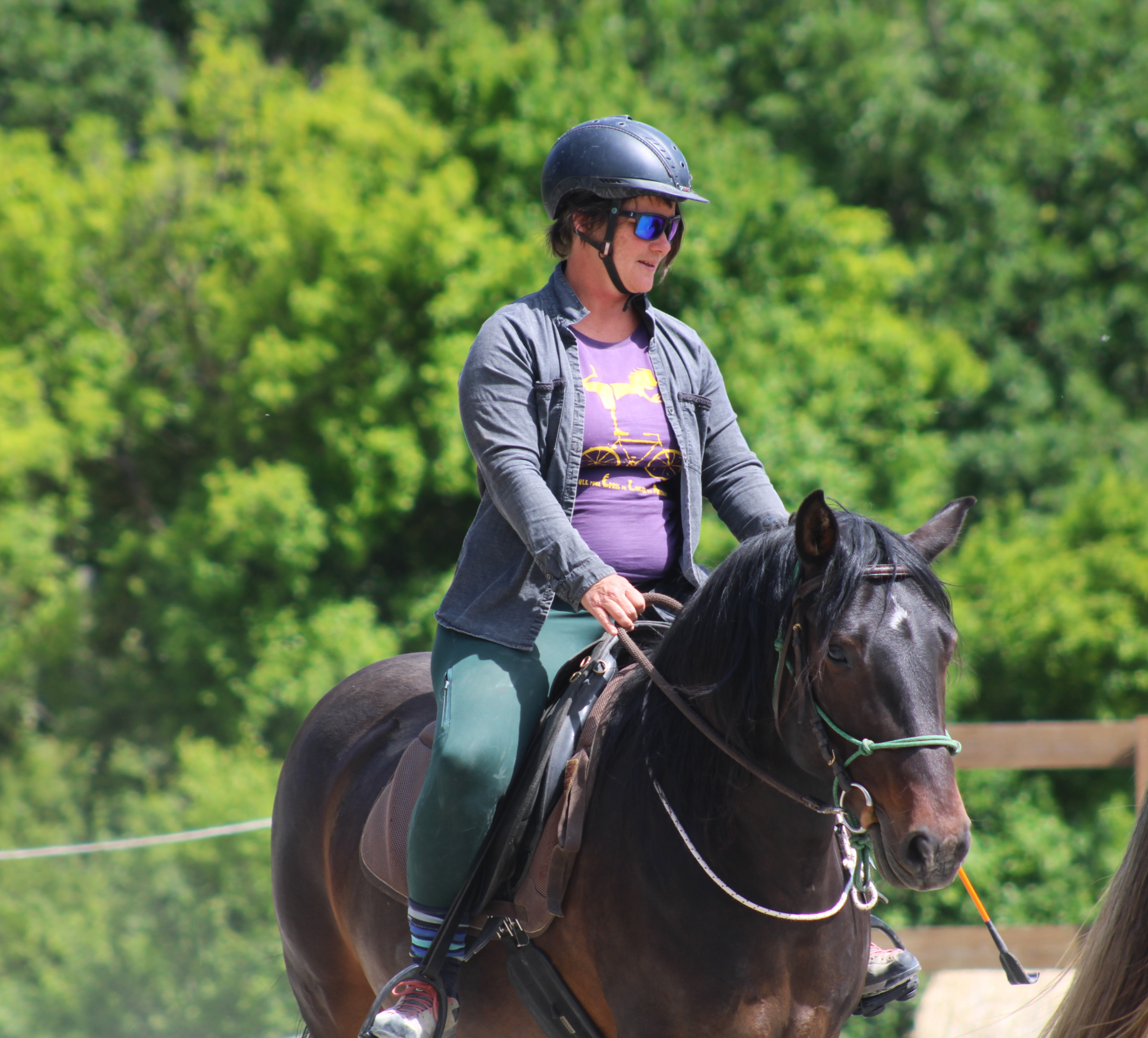 Stages d'quitation : duquer son cheval d'extrieur