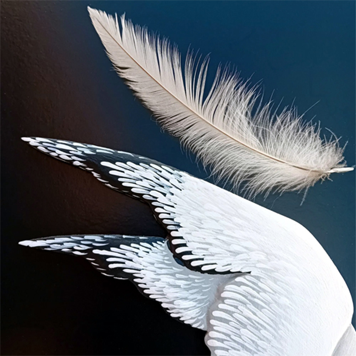 La Mouette d'Anton Tchekov